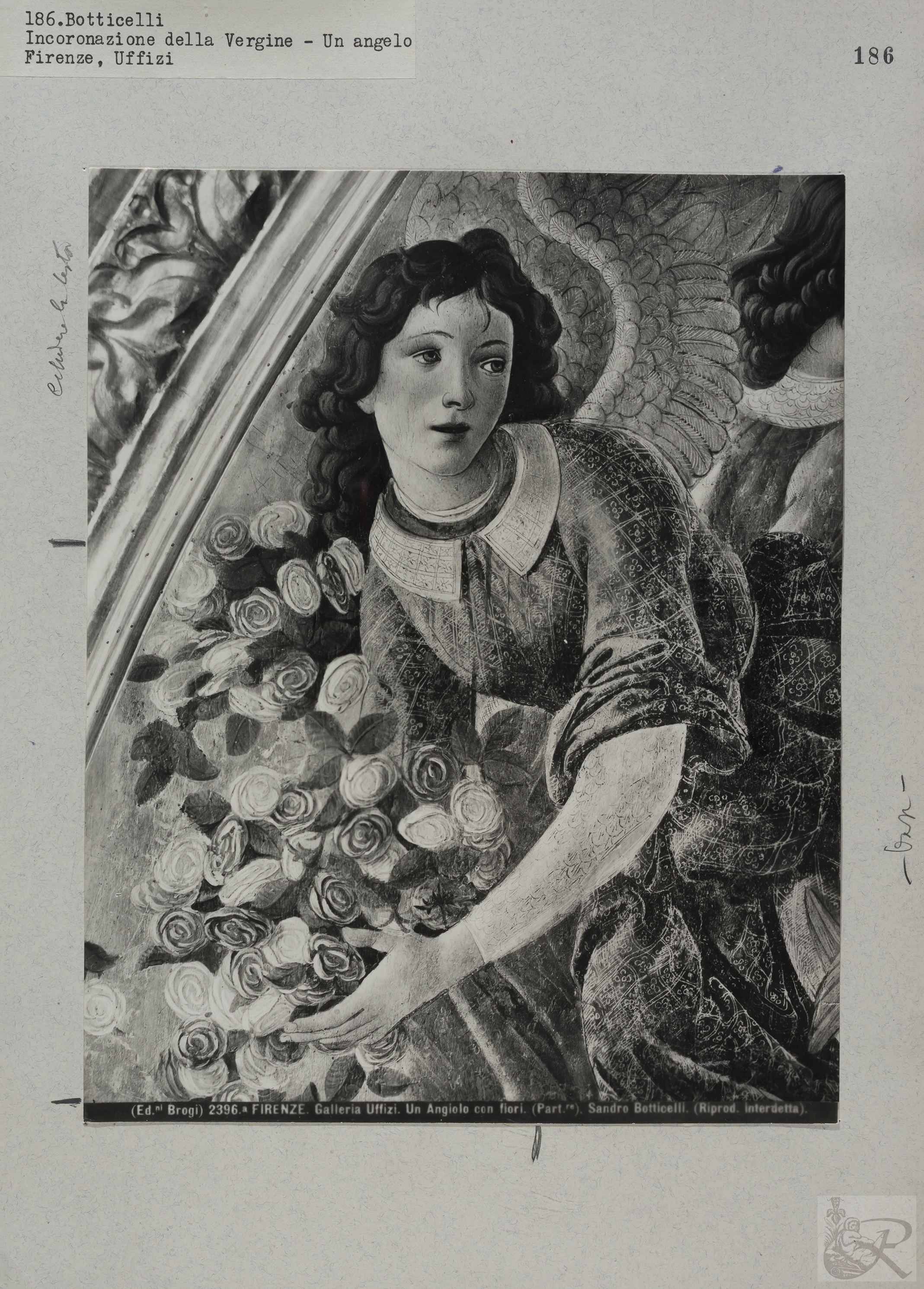 Immagine di anteprima