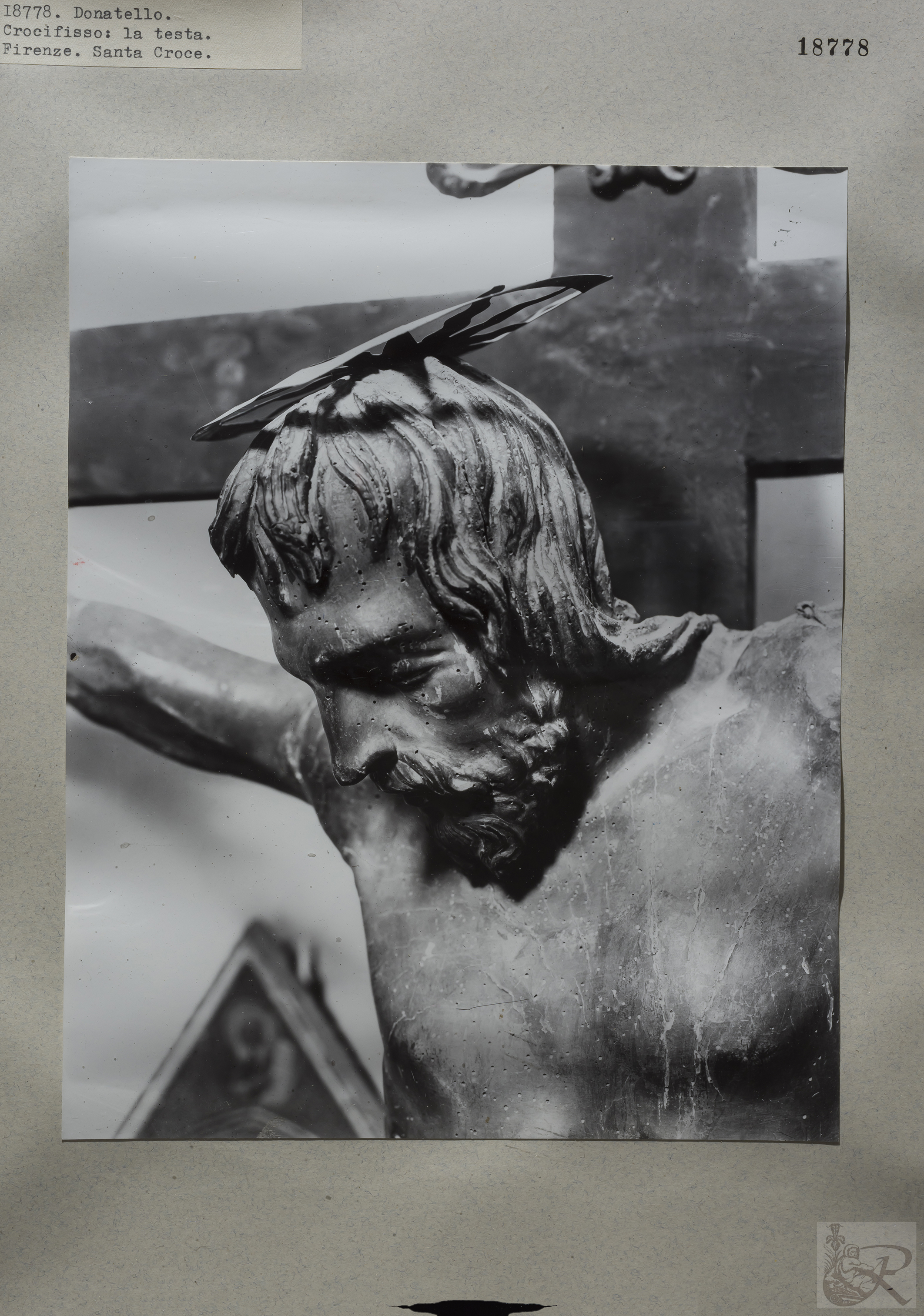 Immagine di anteprima