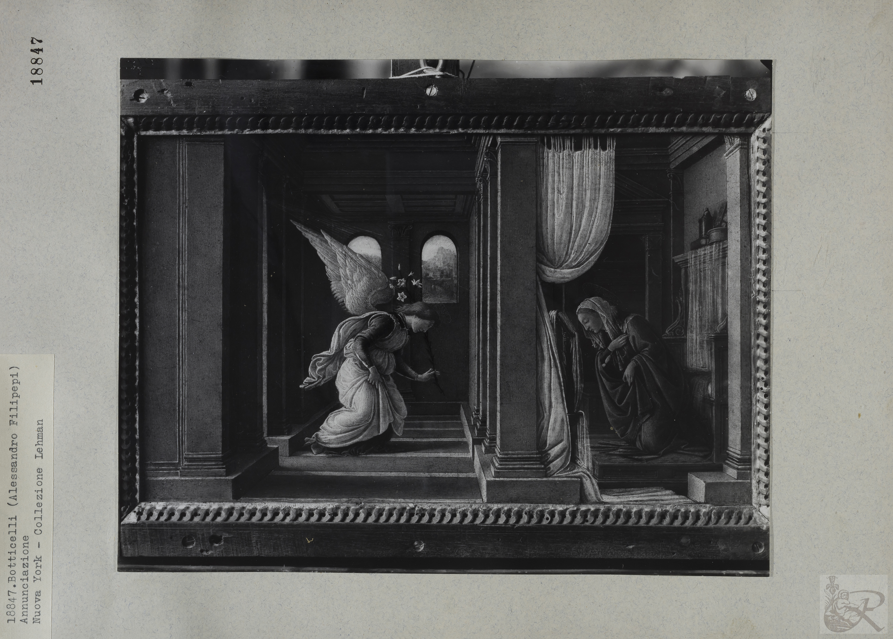 Immagine di anteprima