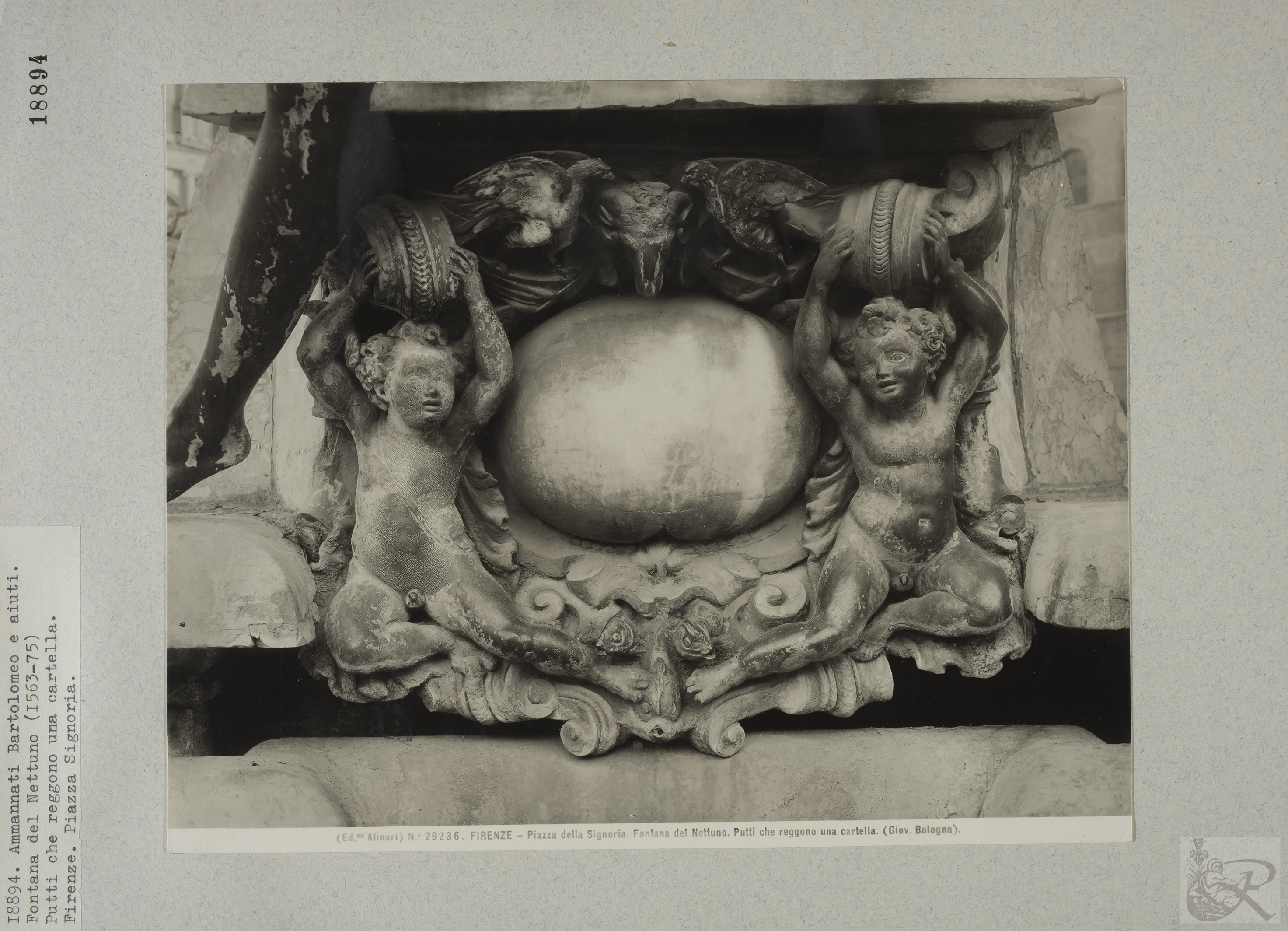 Immagine di anteprima