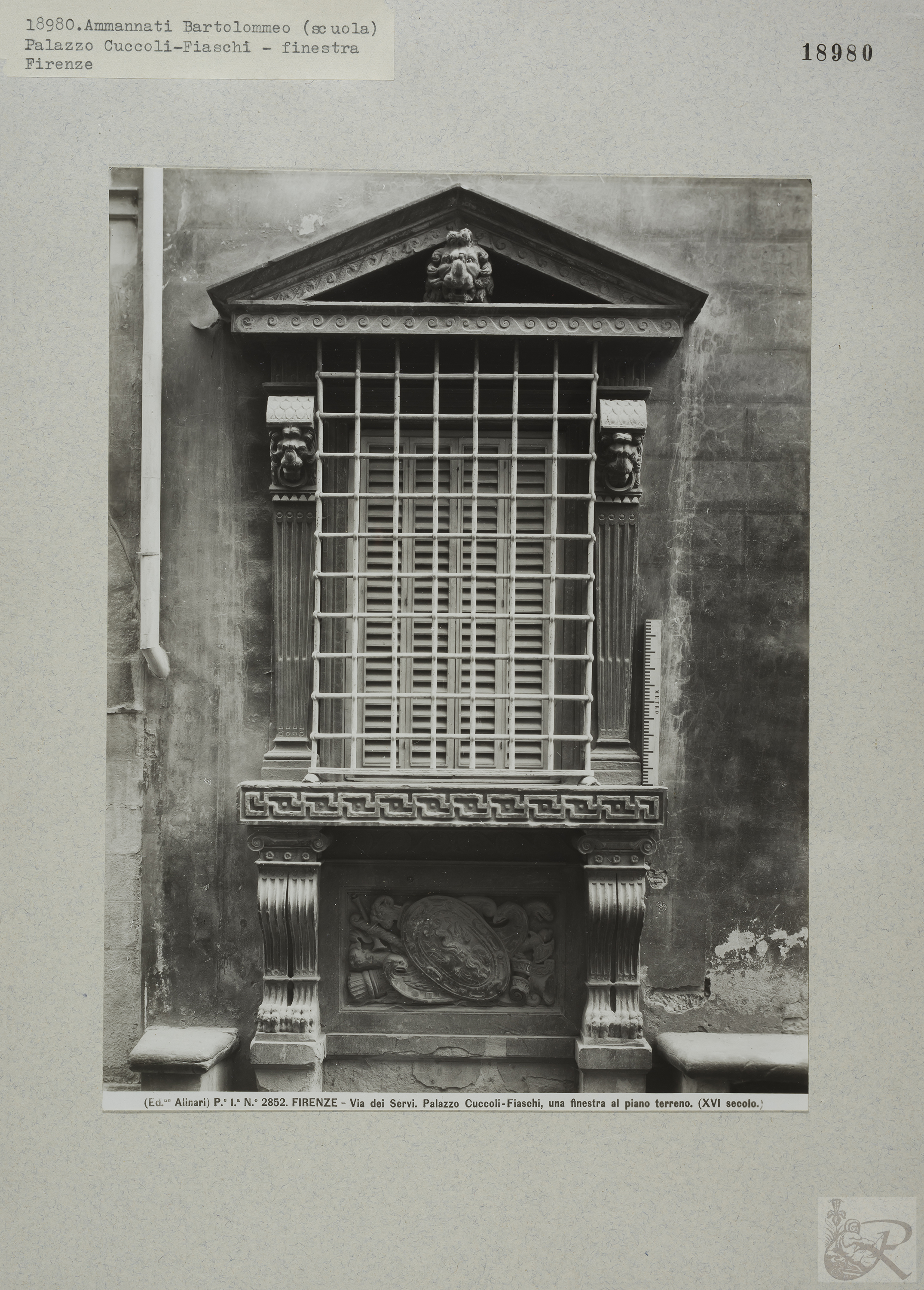 Immagine di anteprima