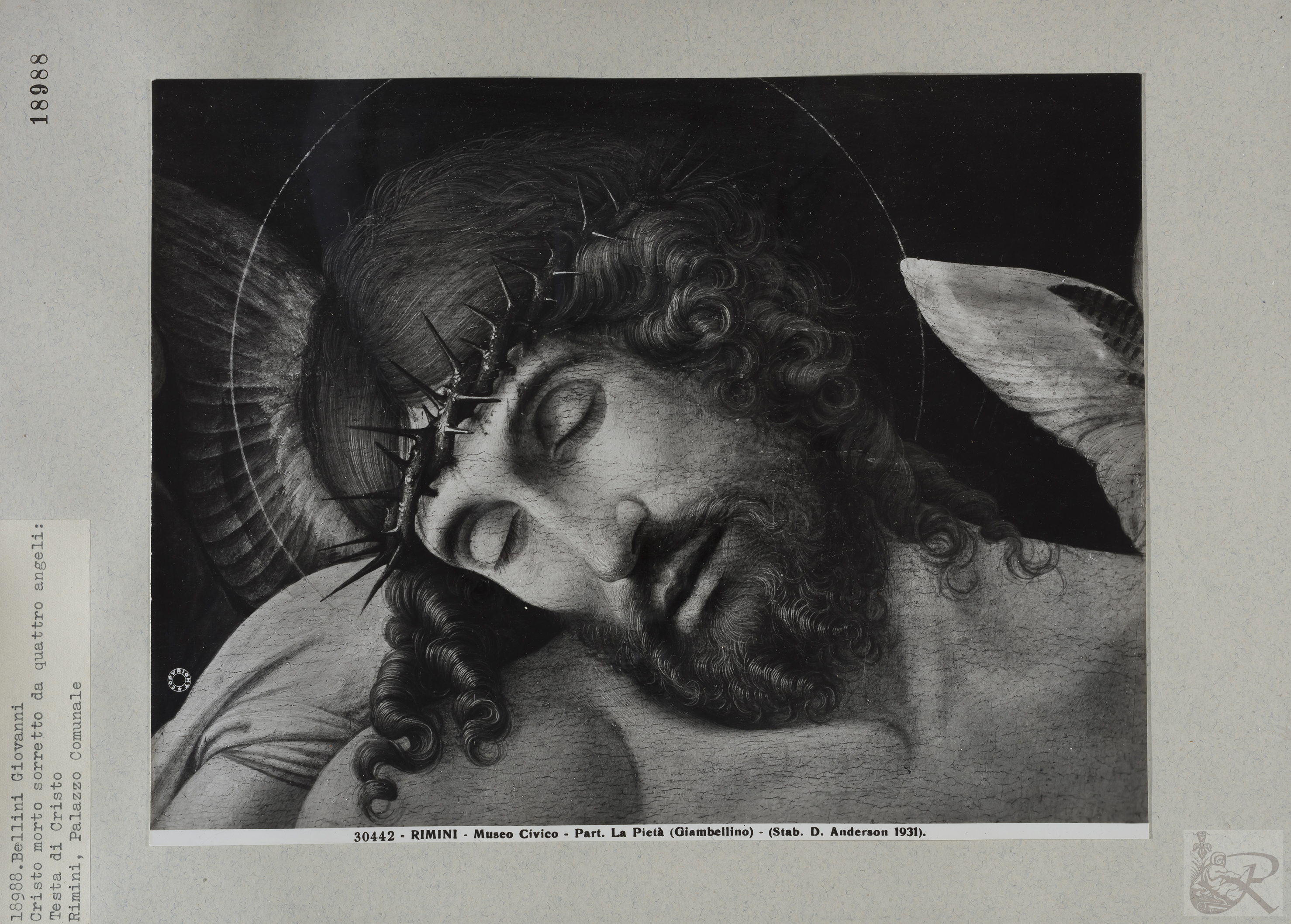 Immagine di anteprima