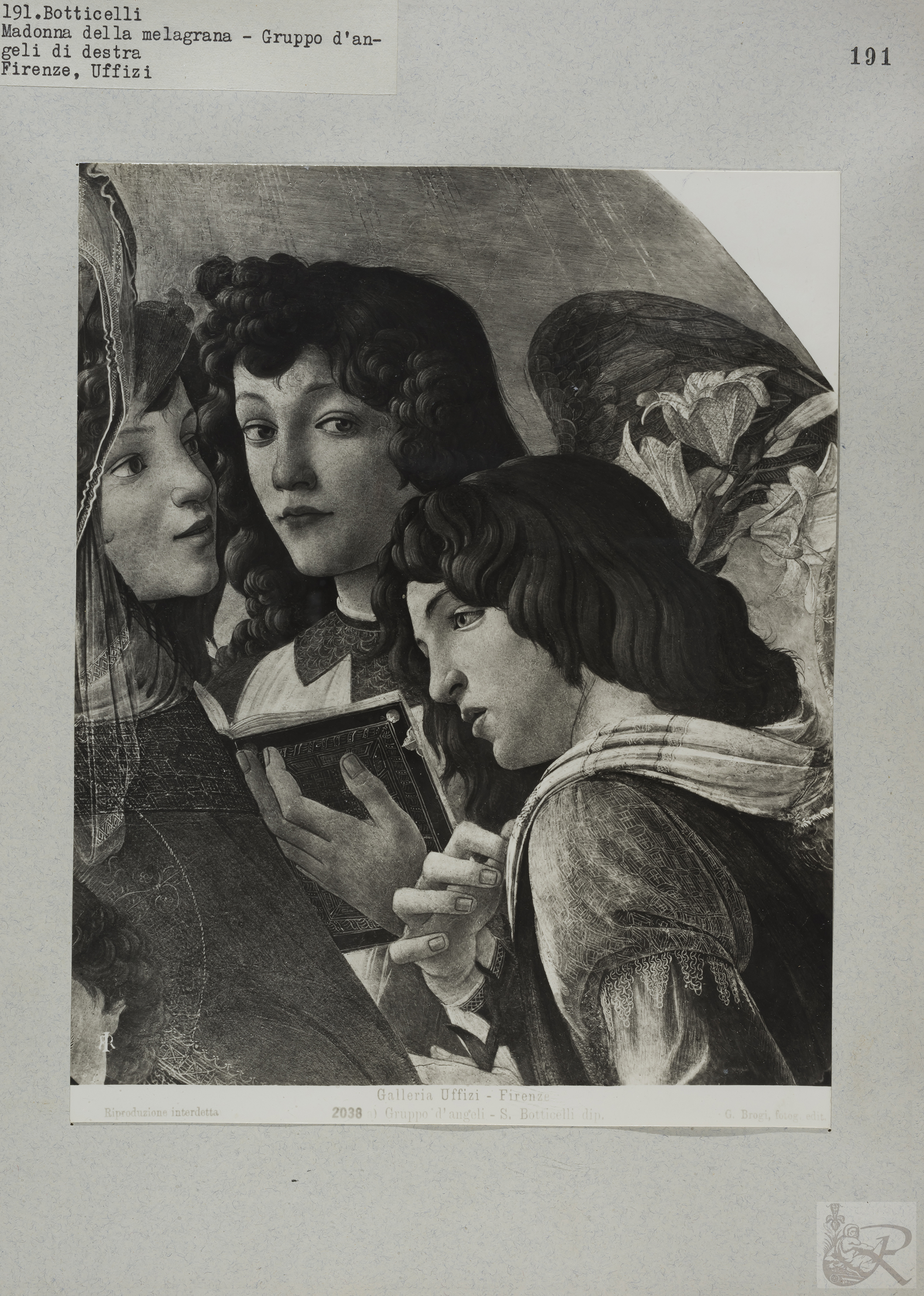 Immagine di anteprima