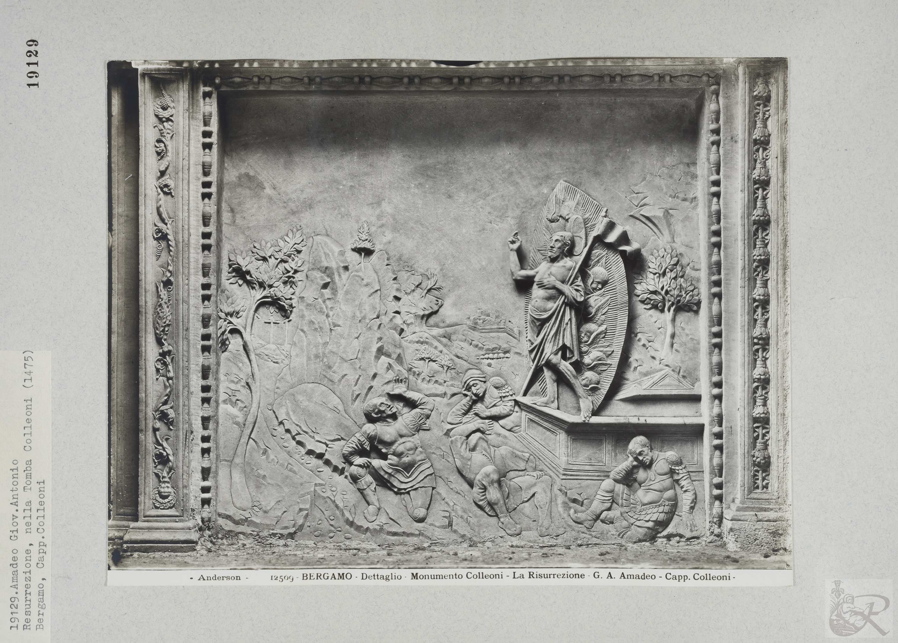 Immagine di anteprima