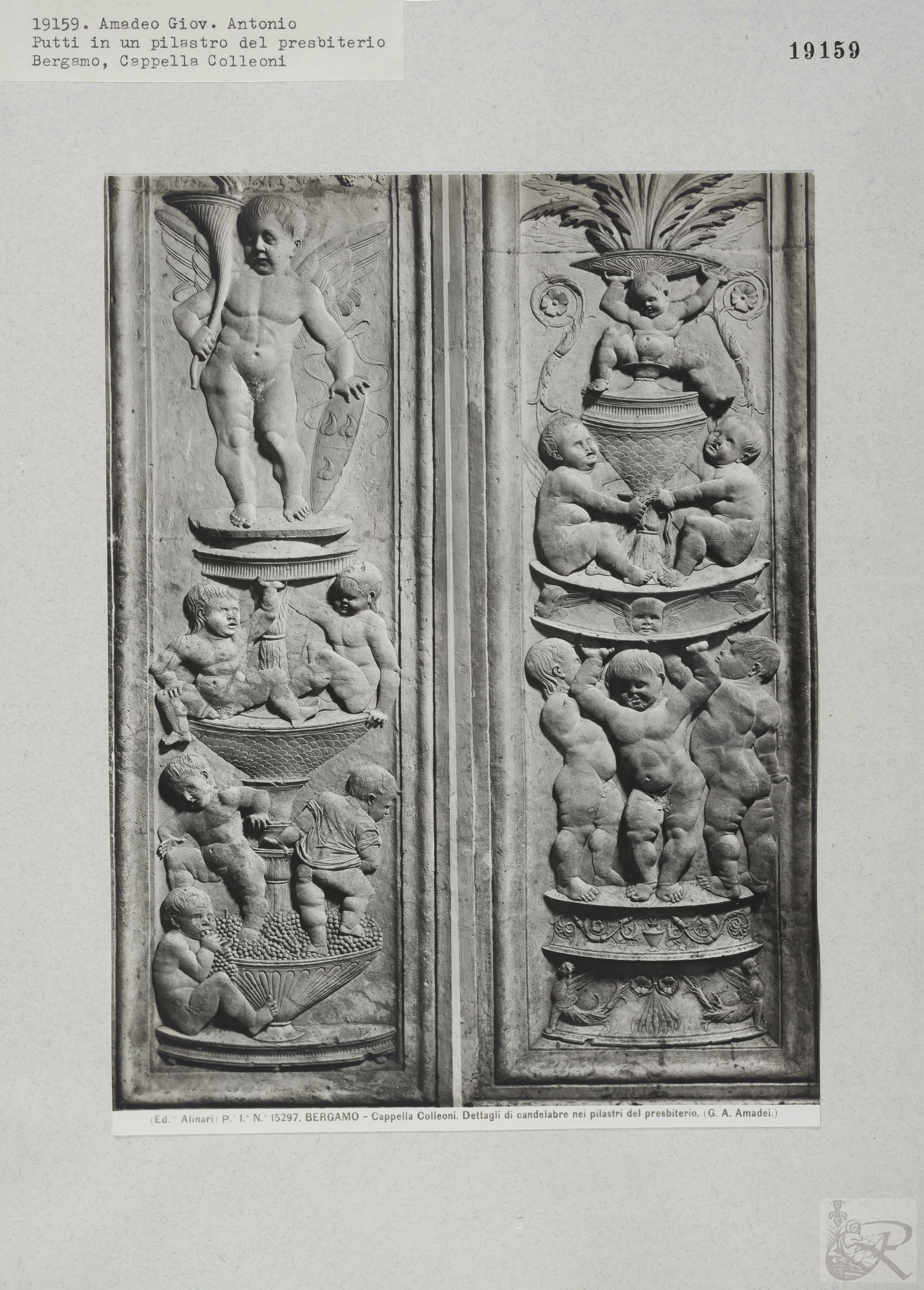 Immagine di anteprima