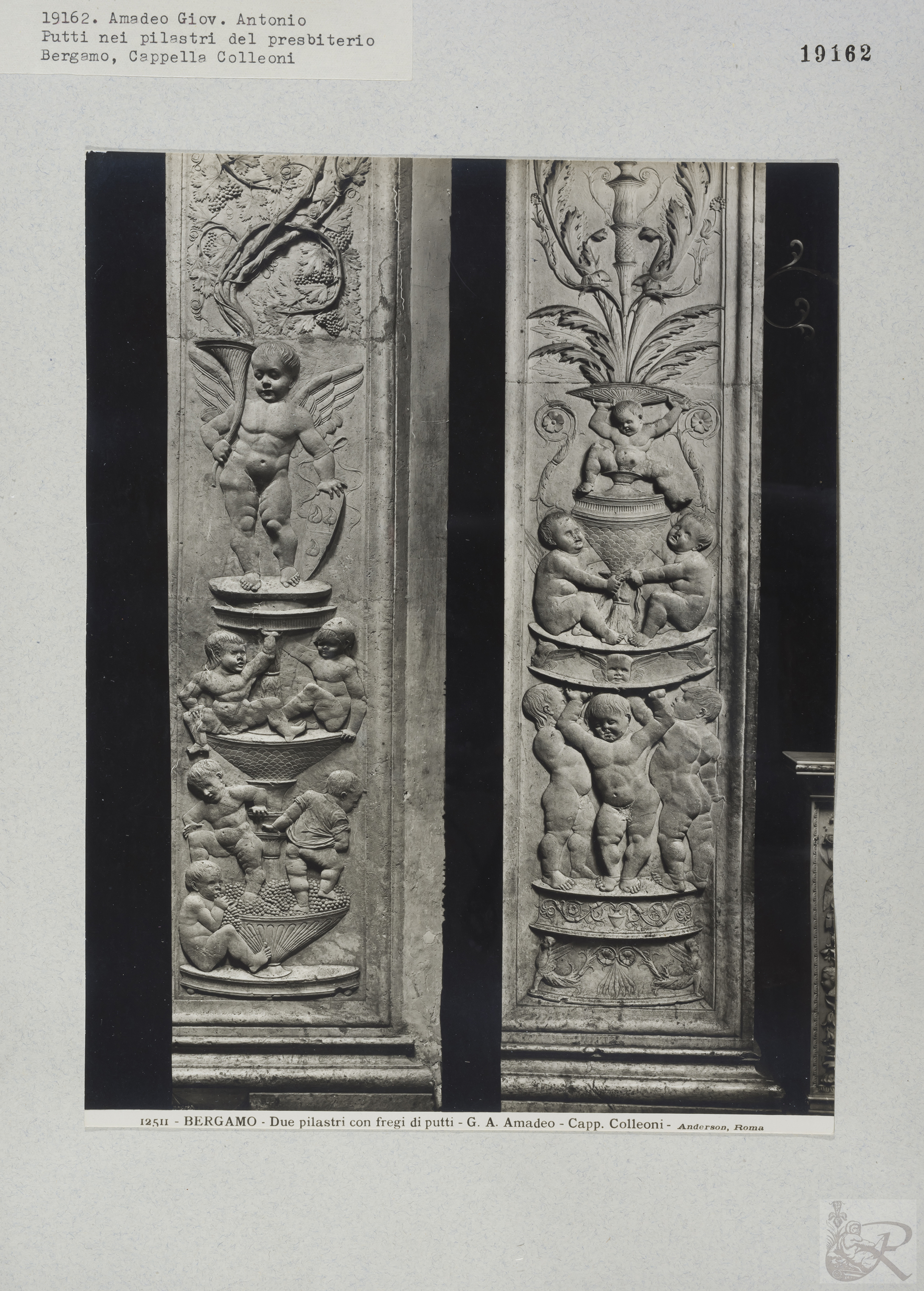 Immagine di anteprima