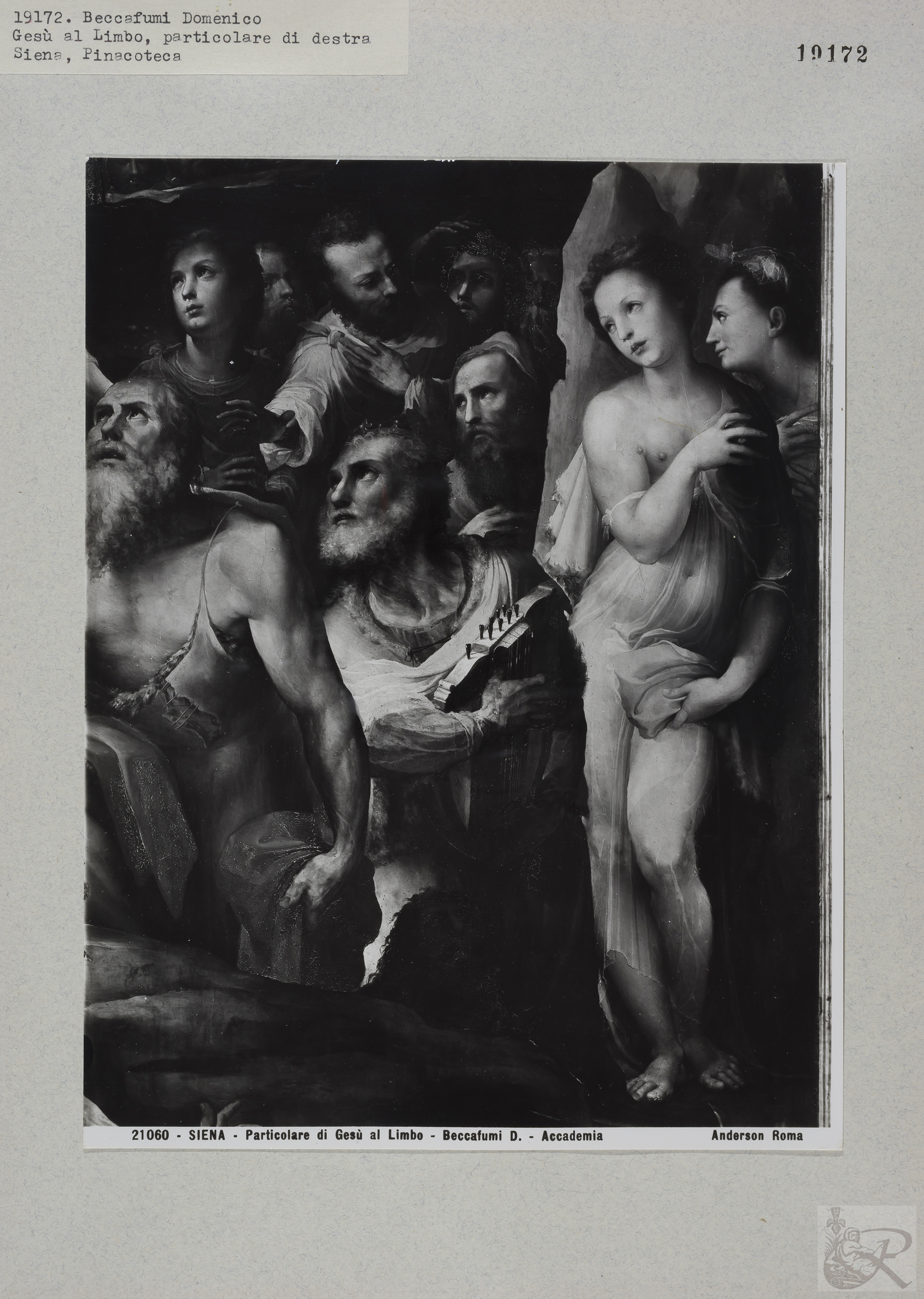 Immagine di anteprima