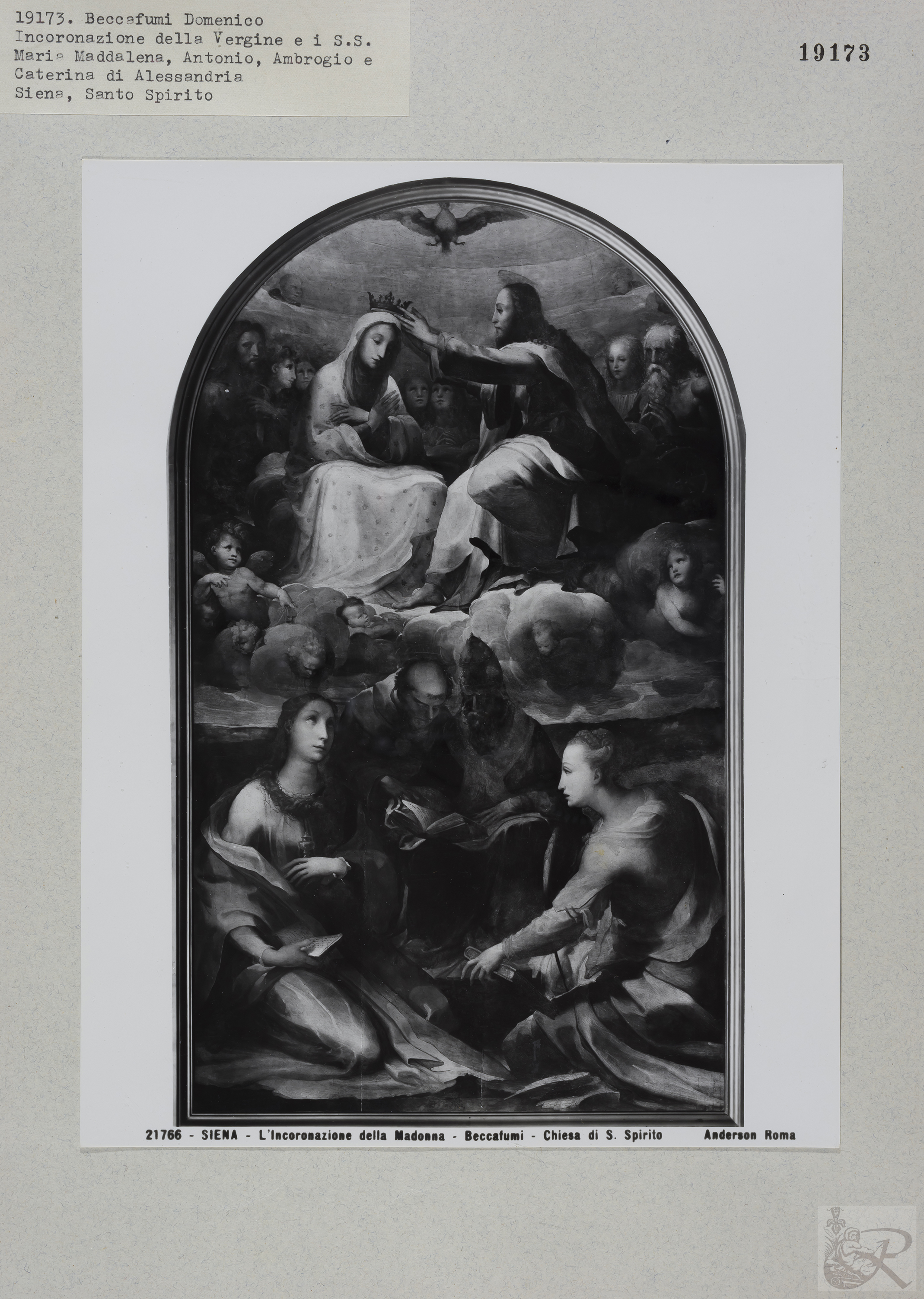 Immagine di anteprima