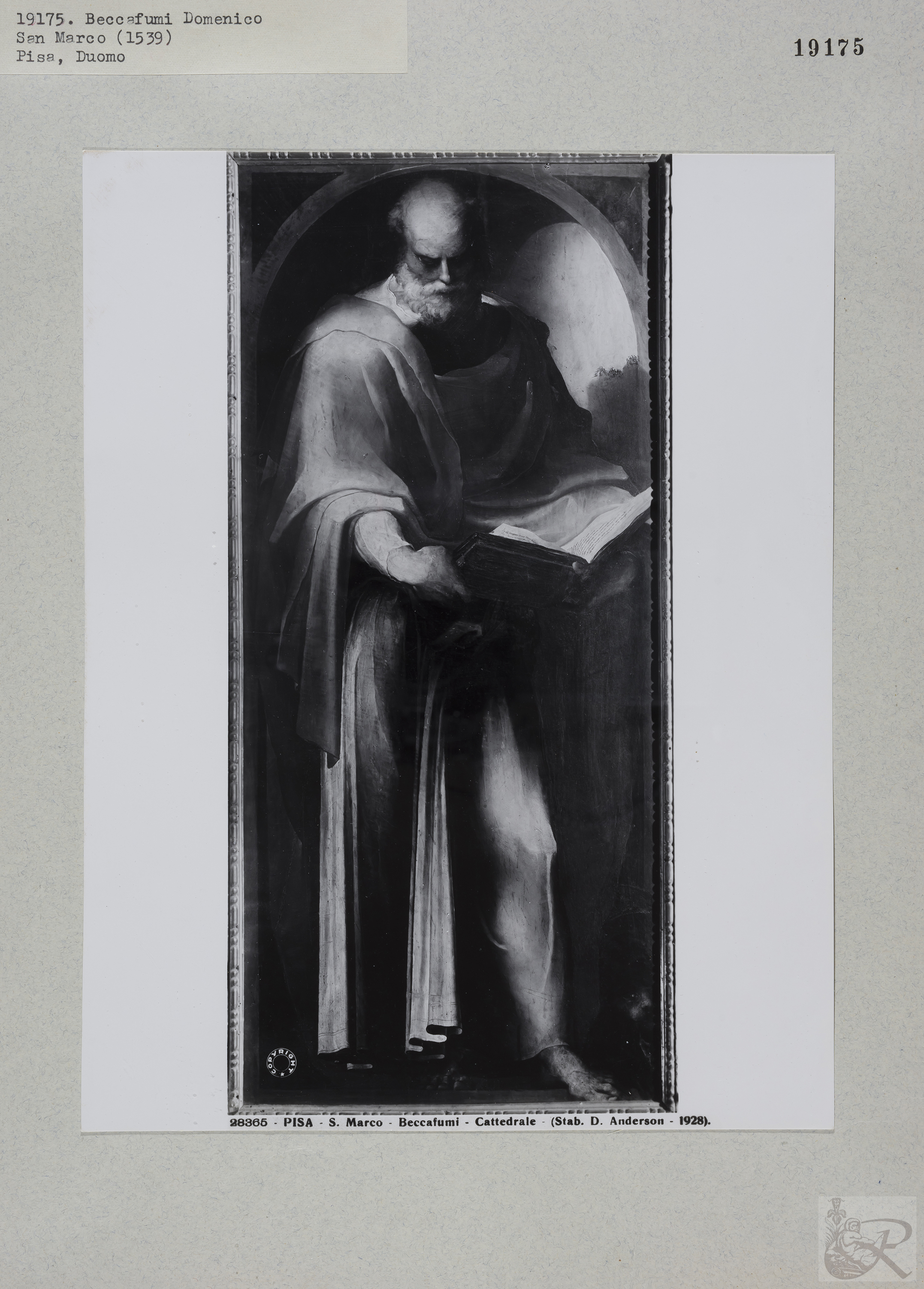 Immagine di anteprima