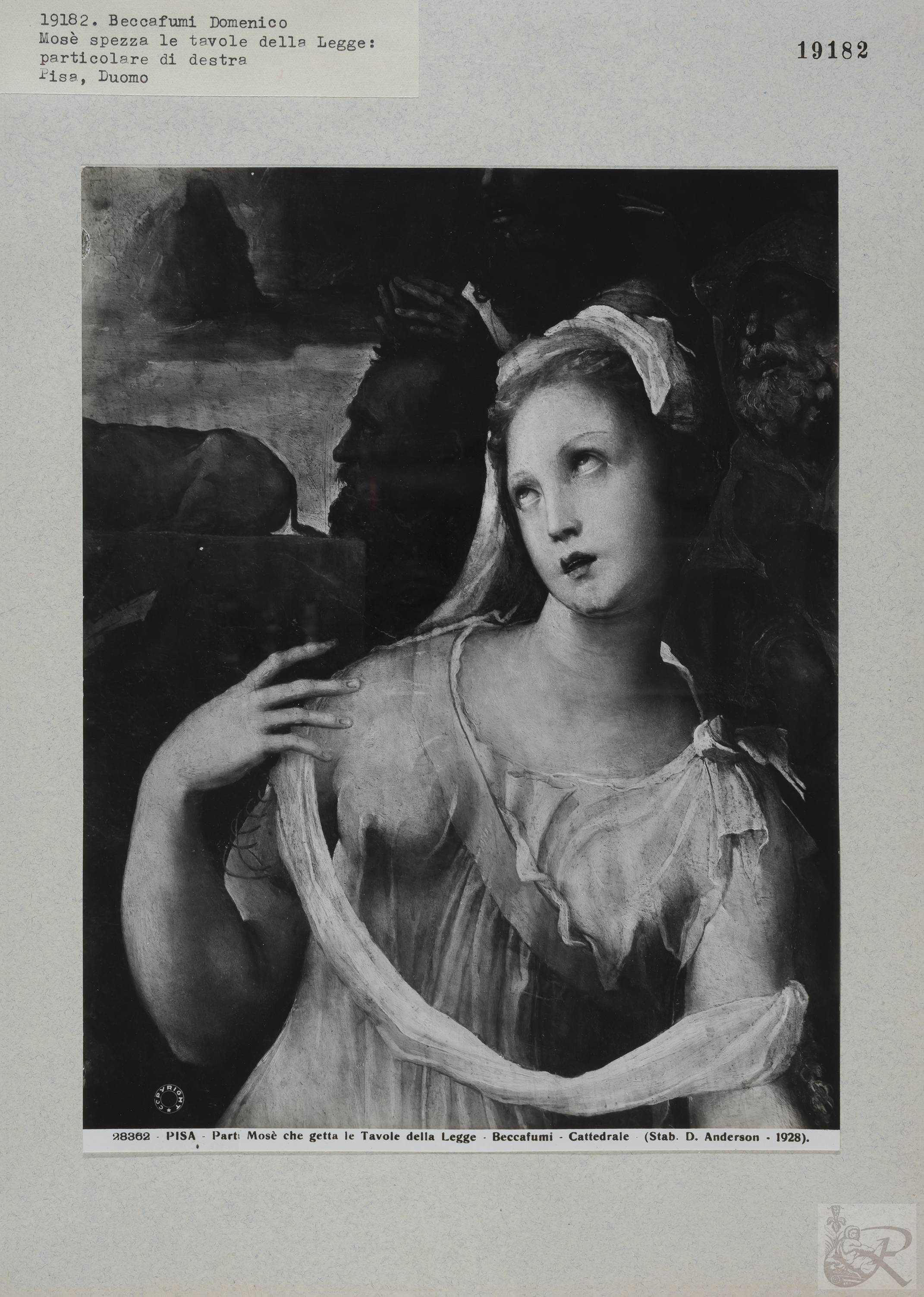 Immagine di anteprima