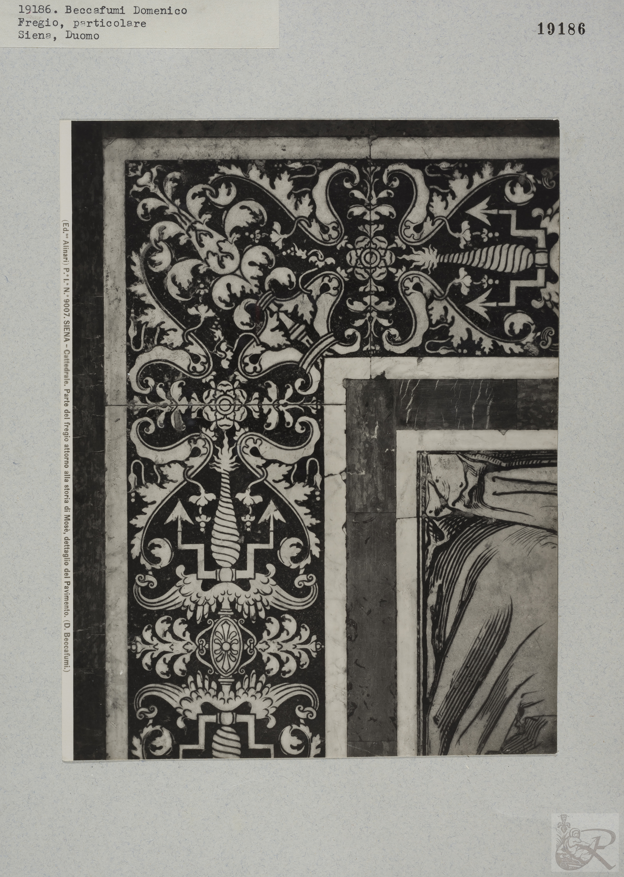 Immagine di anteprima