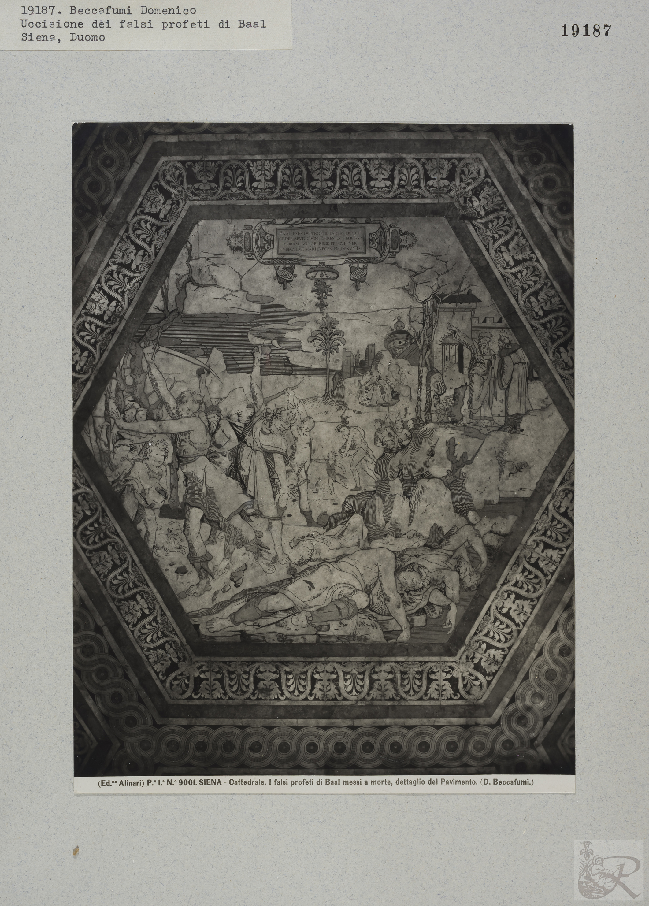 Immagine di anteprima