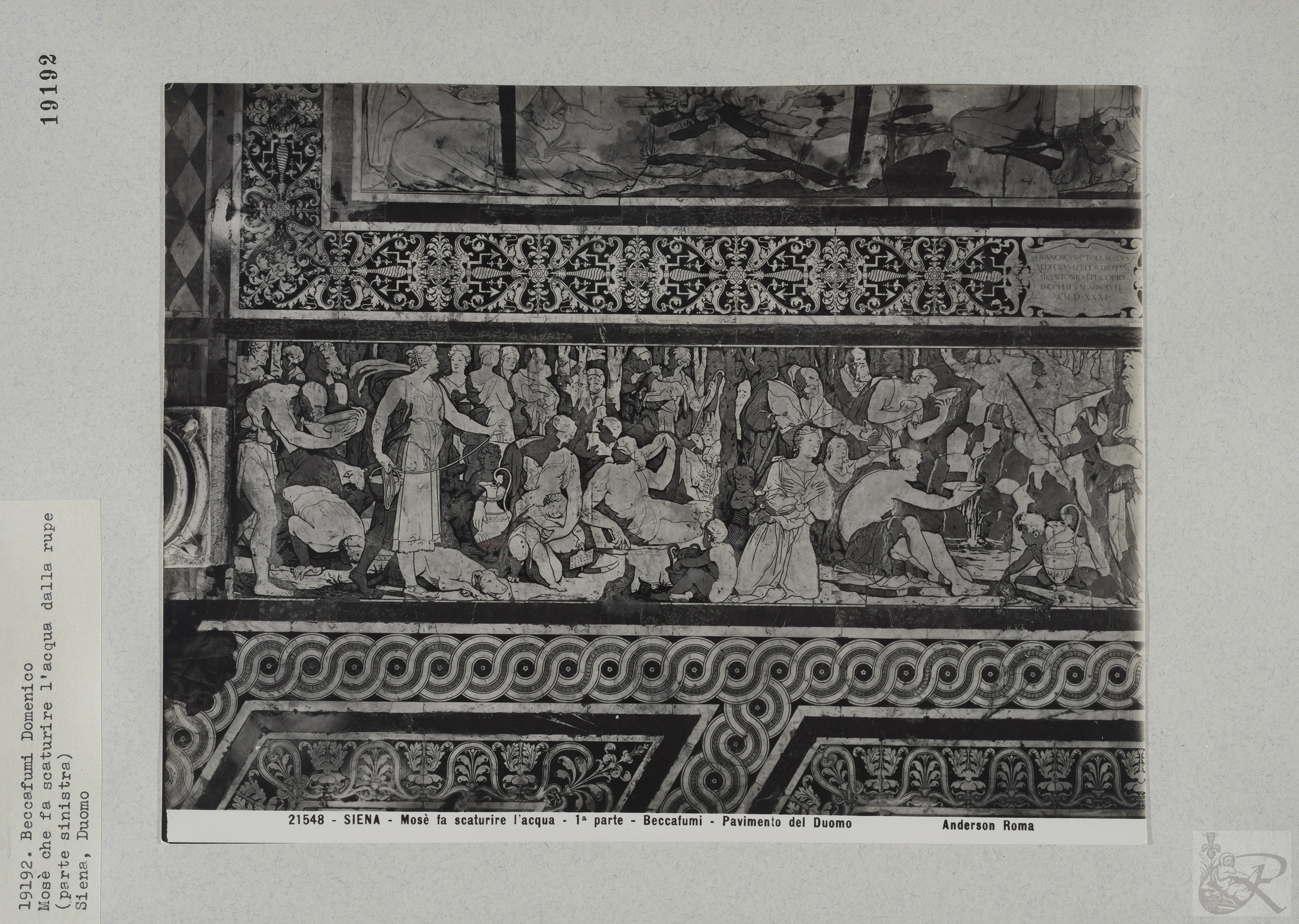 Immagine di anteprima