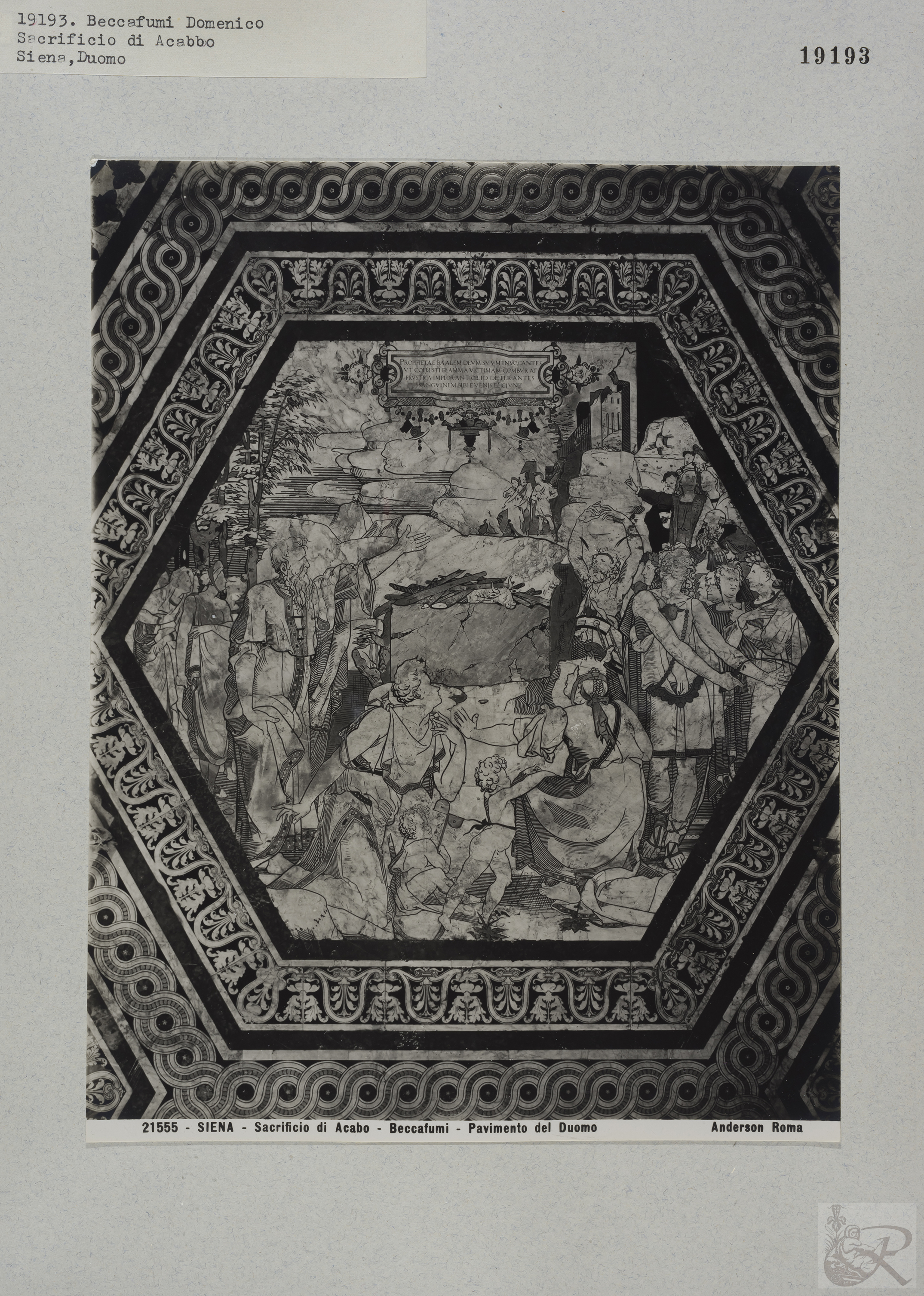 Immagine di anteprima