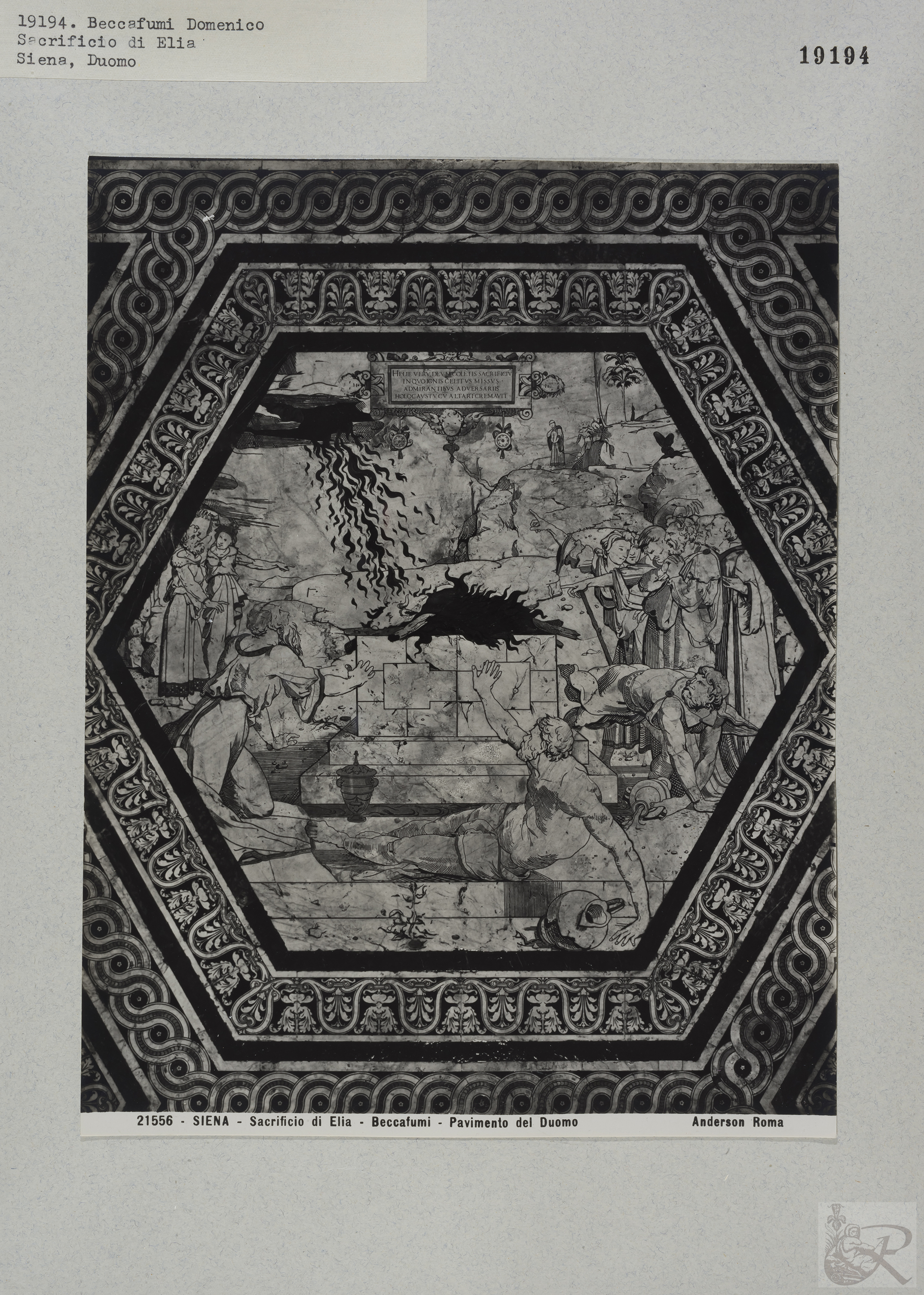 Immagine di anteprima