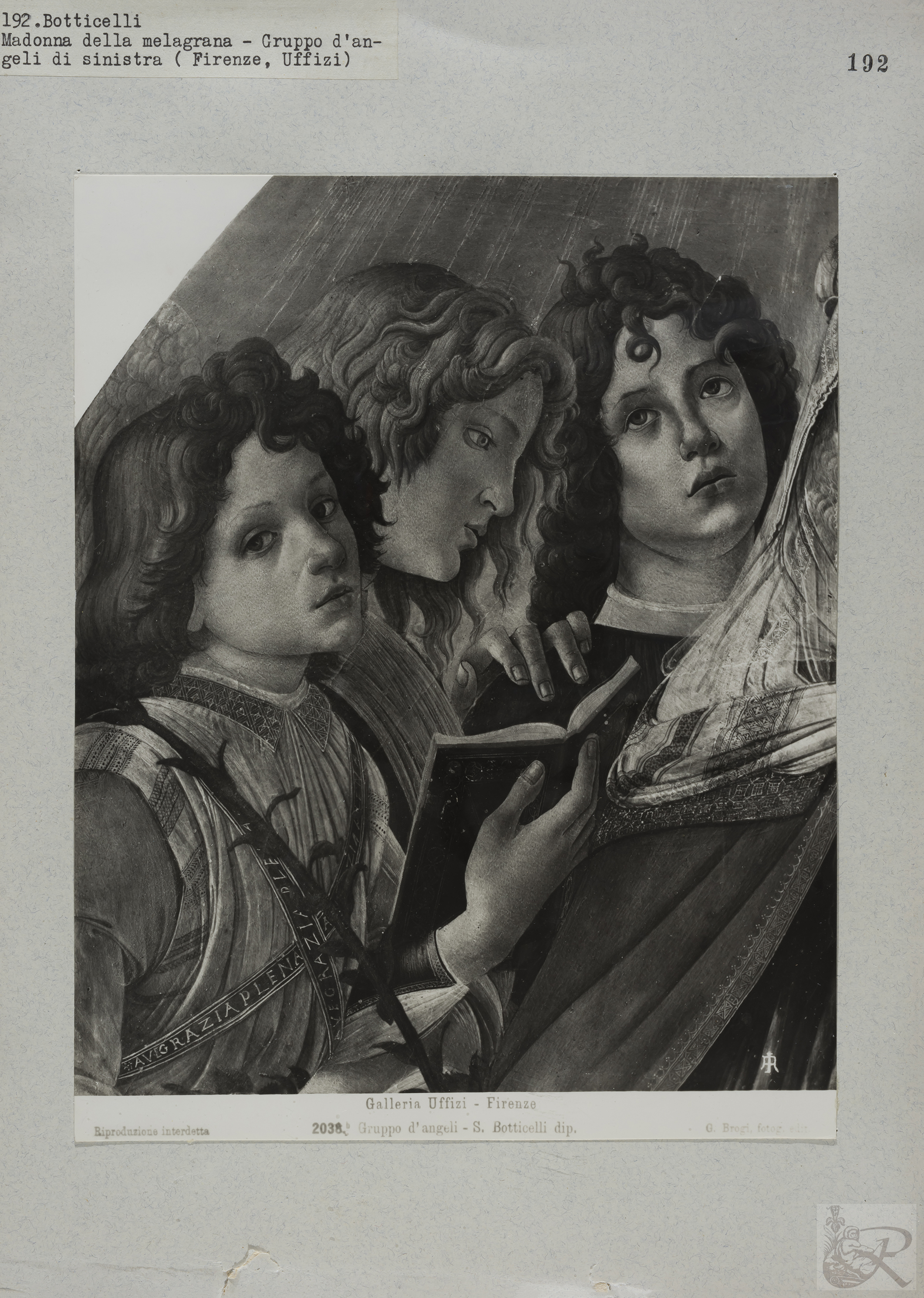 Immagine di anteprima