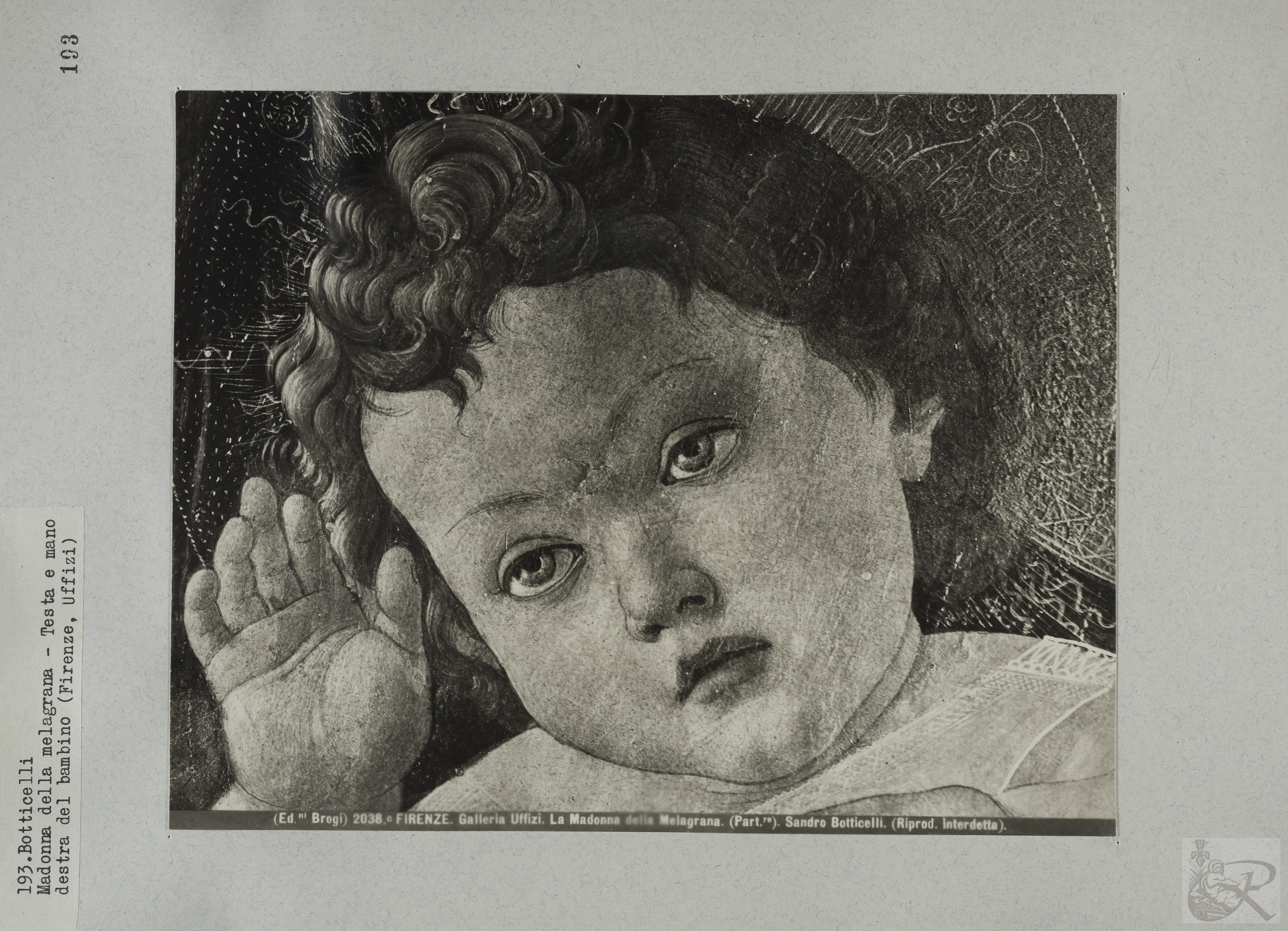 Immagine di anteprima