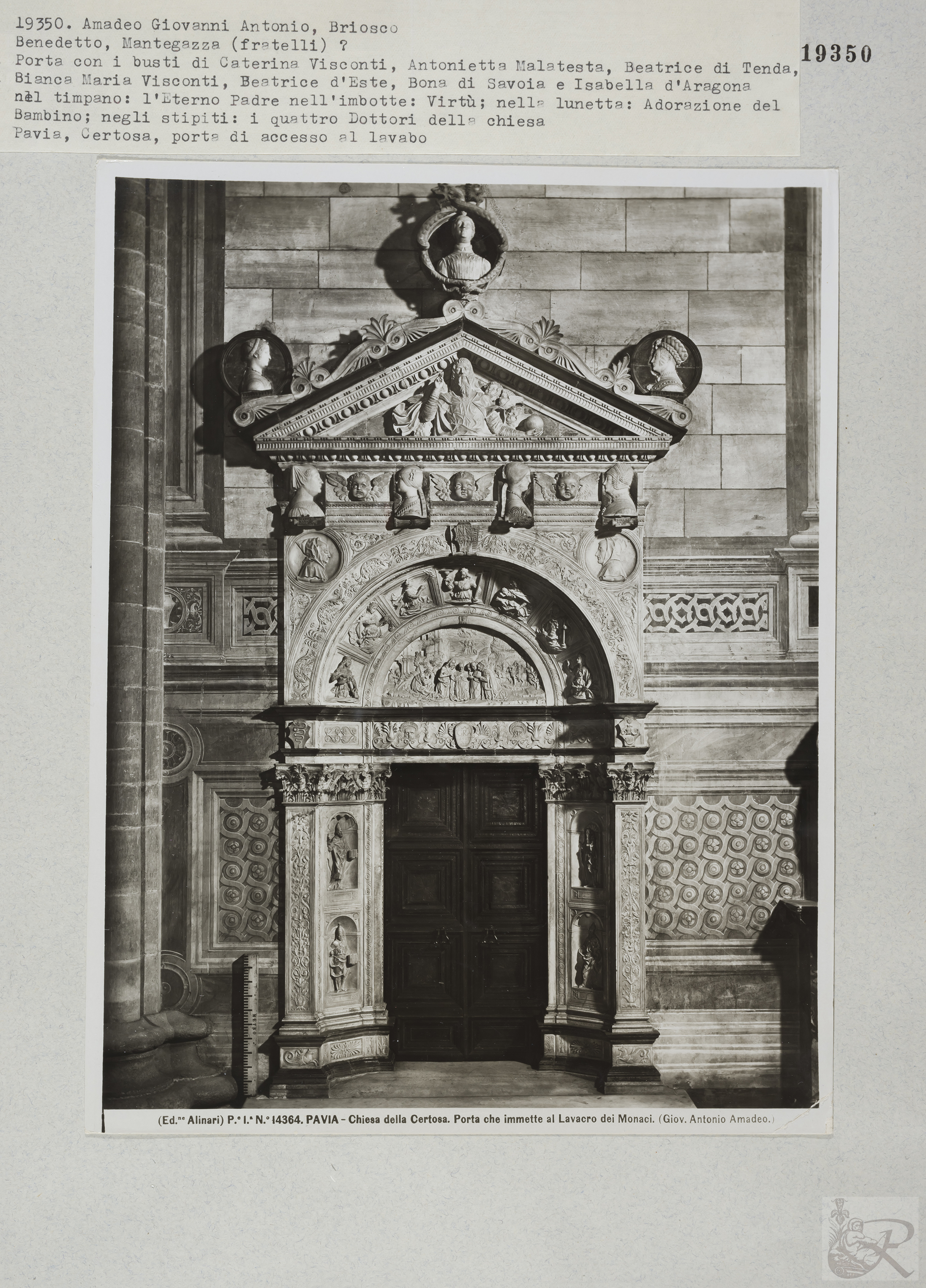 Immagine di anteprima