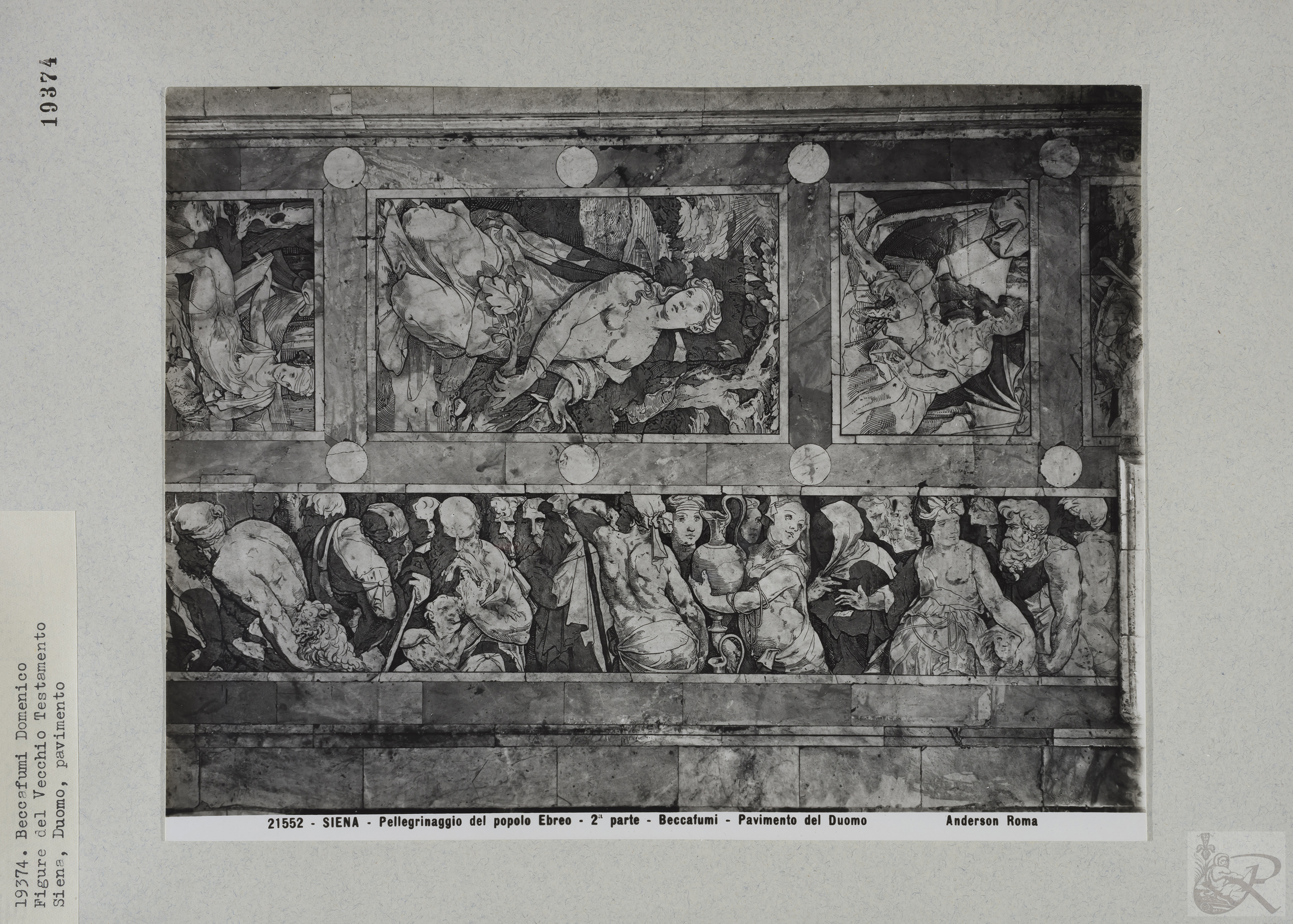 Immagine di anteprima