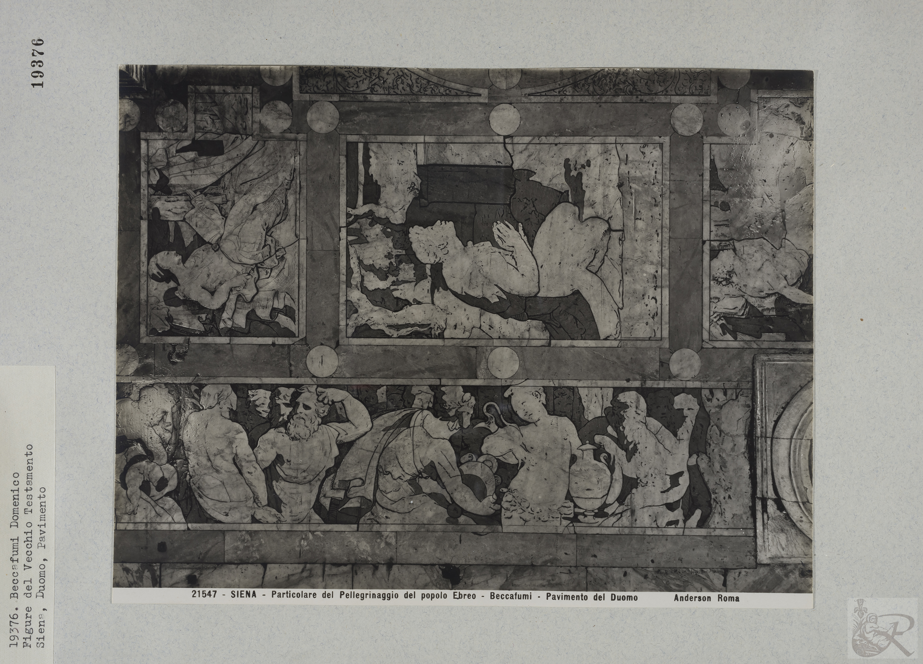 Immagine di anteprima