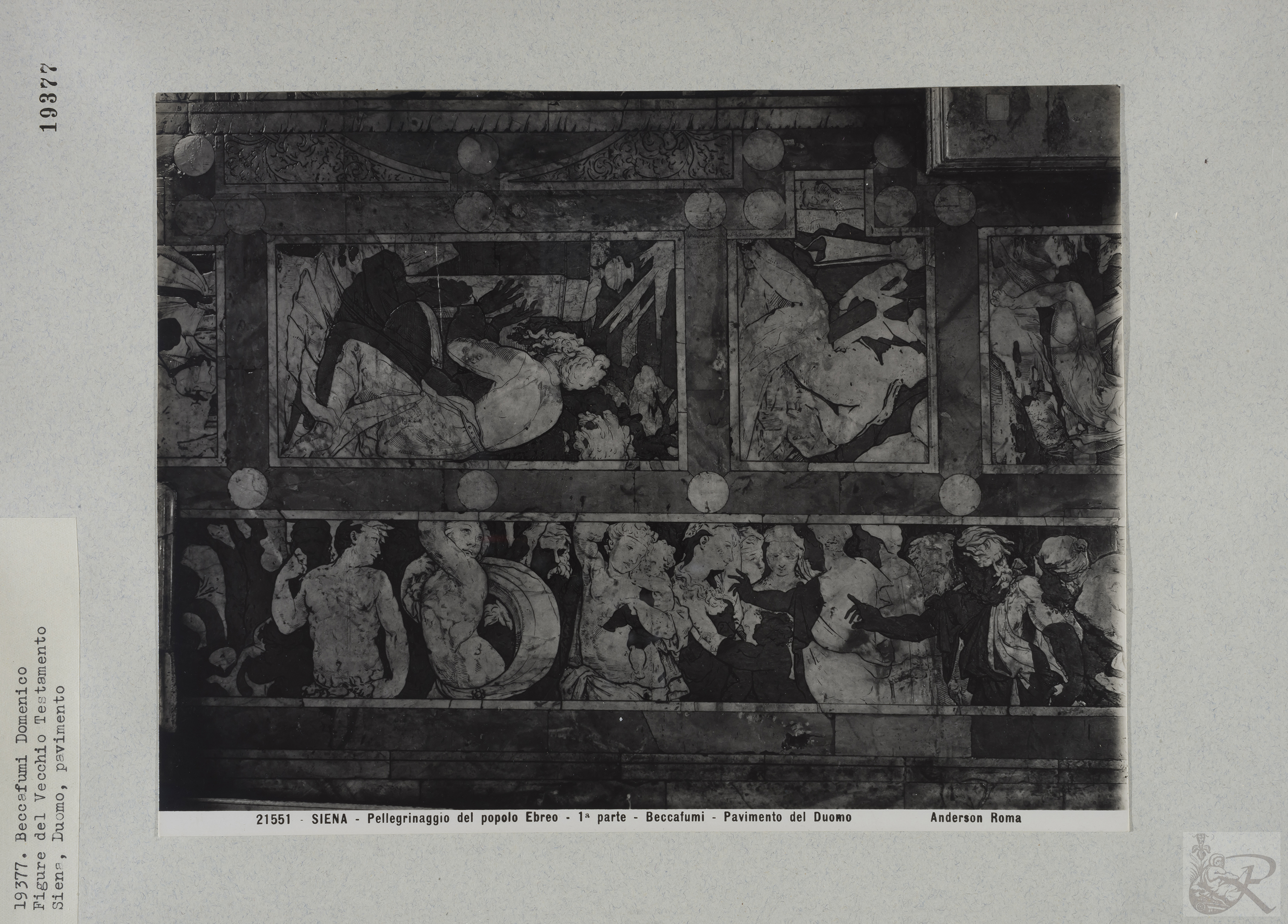 Immagine di anteprima