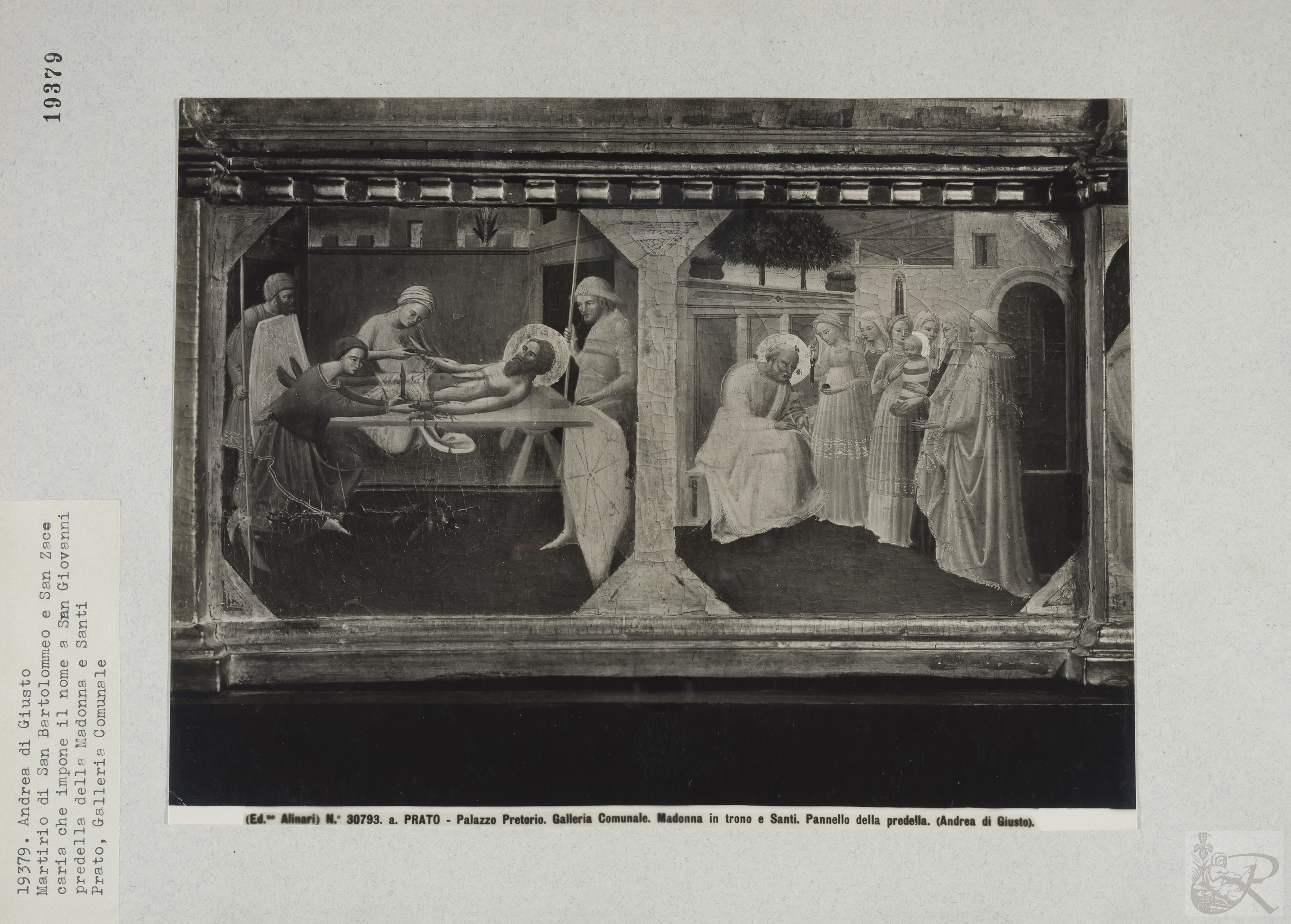 Immagine di anteprima