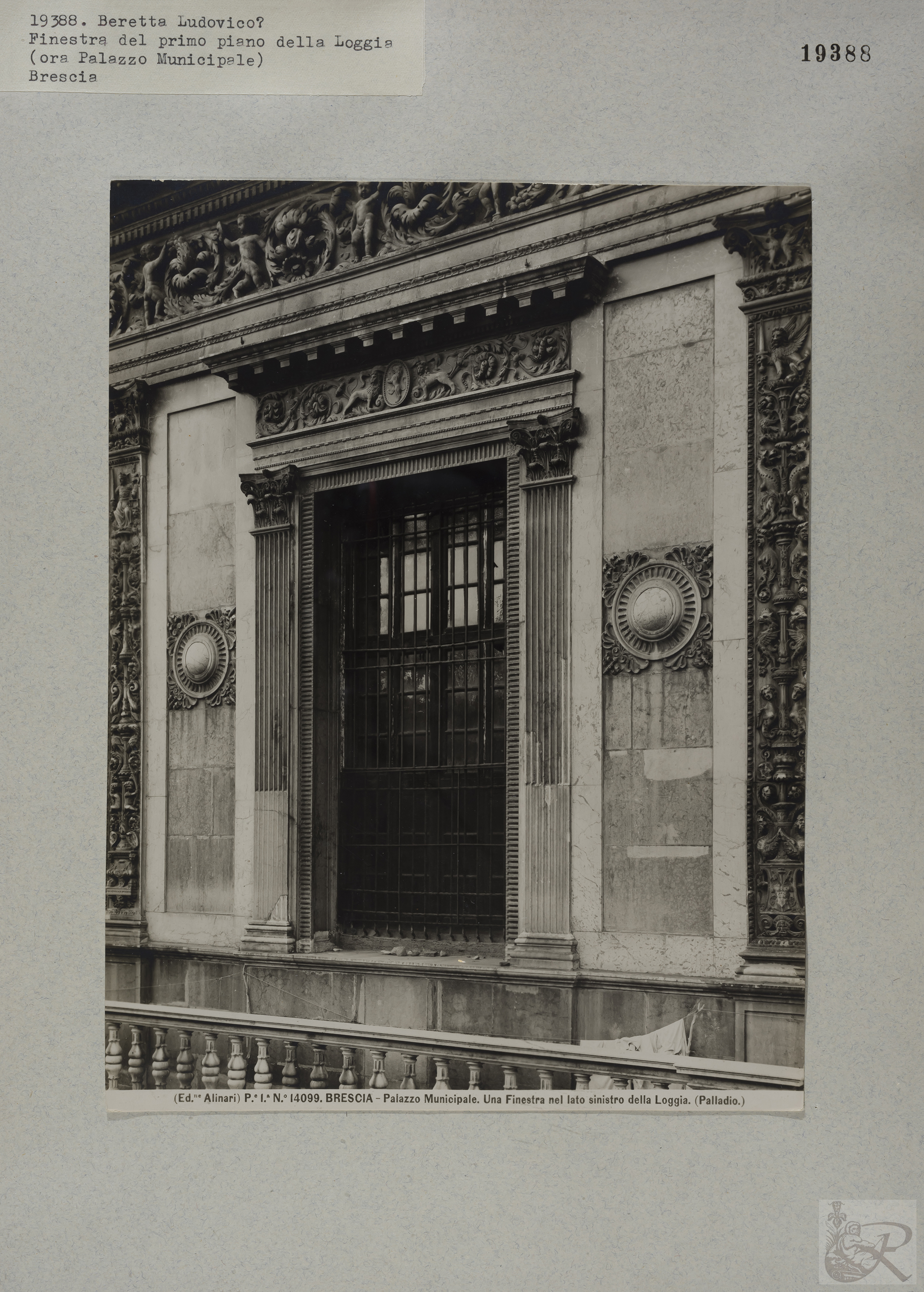 Immagine di anteprima