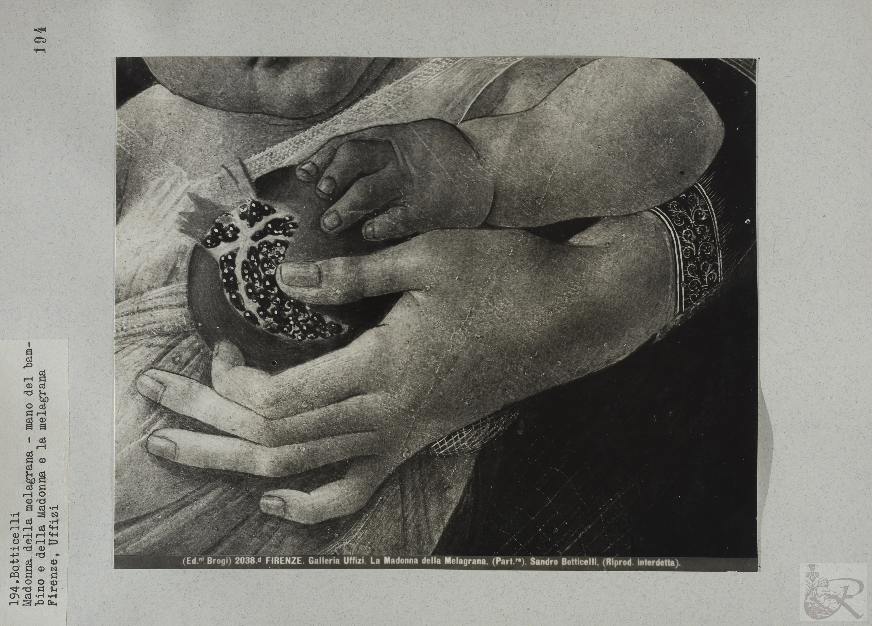 Immagine di anteprima