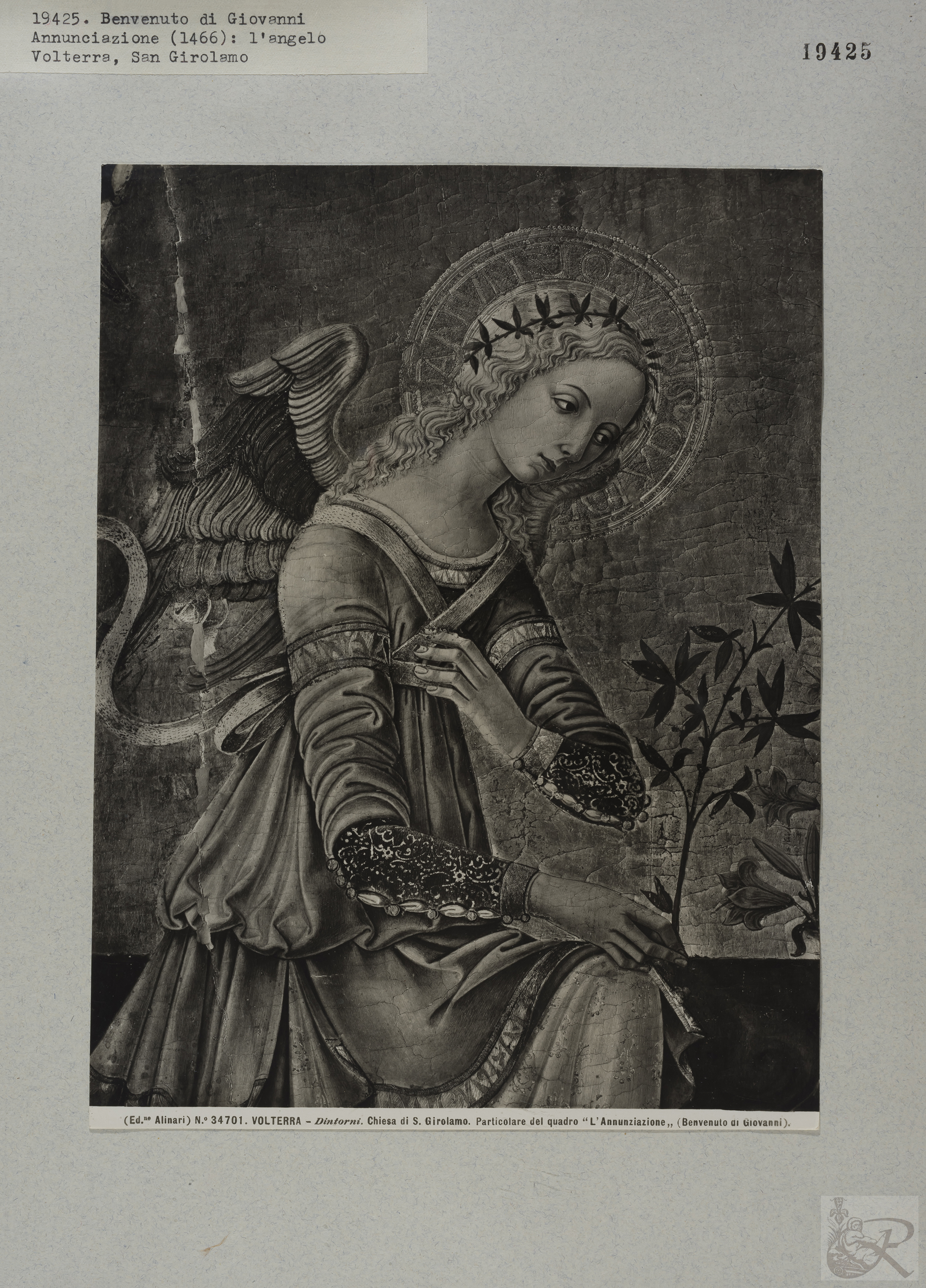 Immagine di anteprima