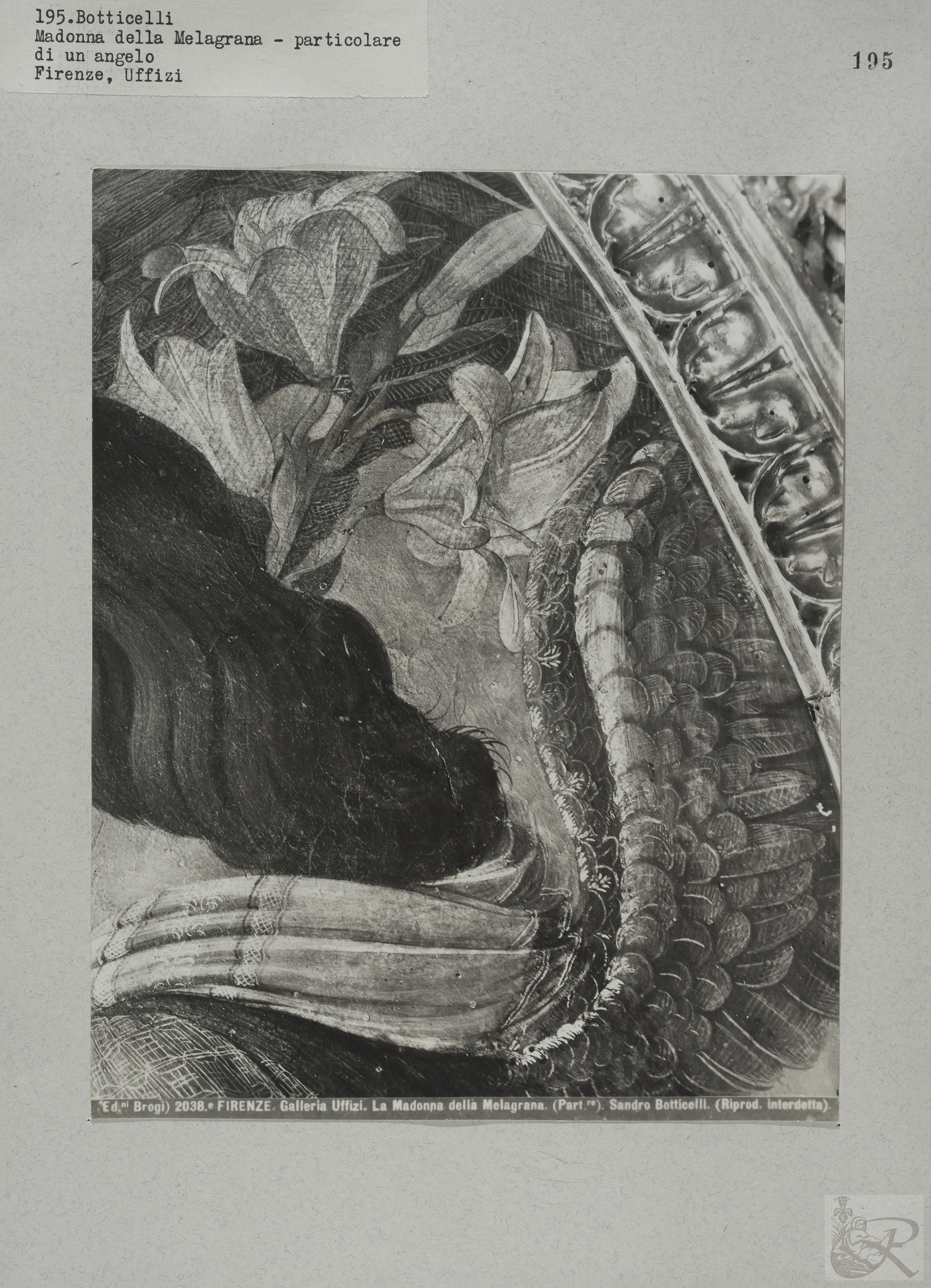 Immagine di anteprima