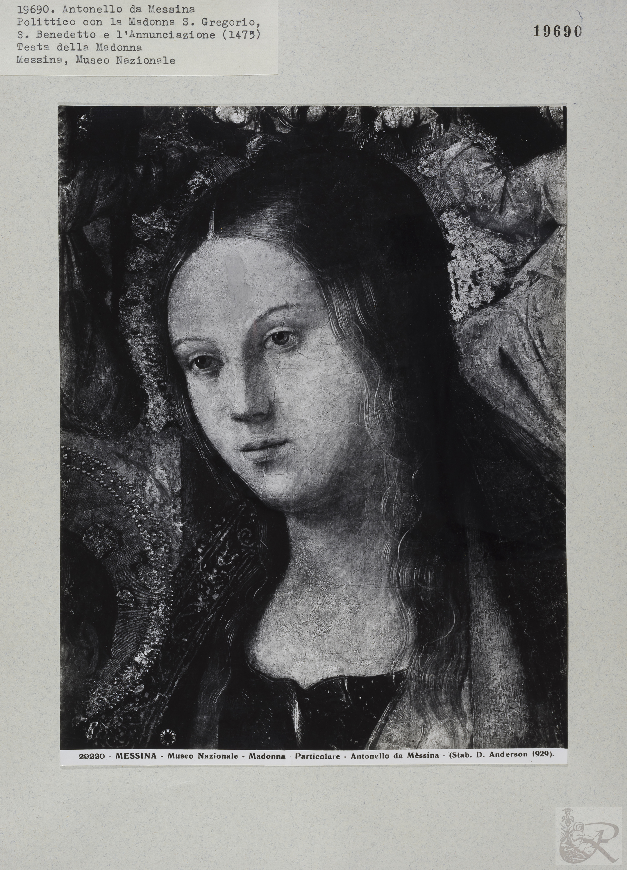 Immagine di anteprima