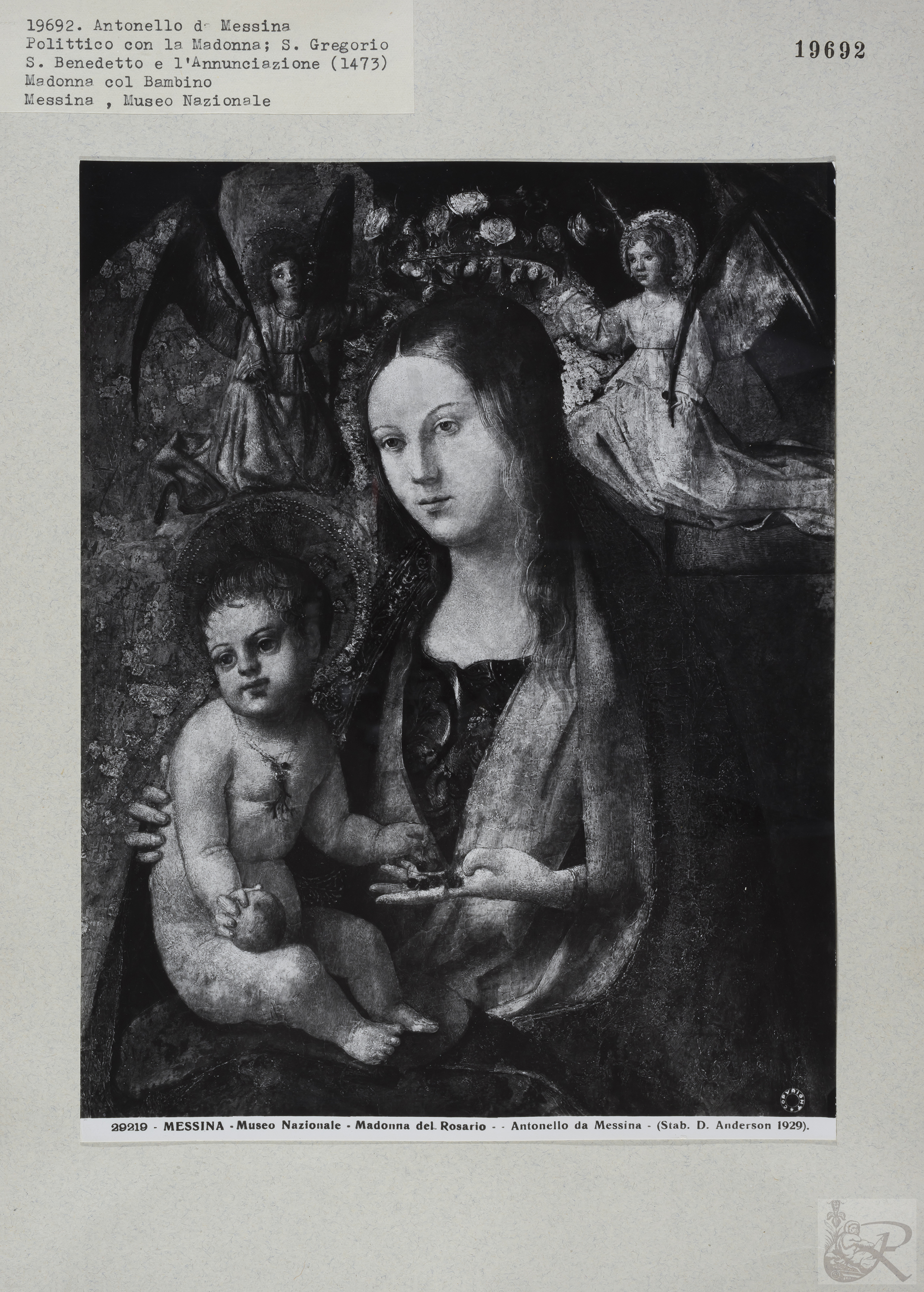 Immagine di anteprima