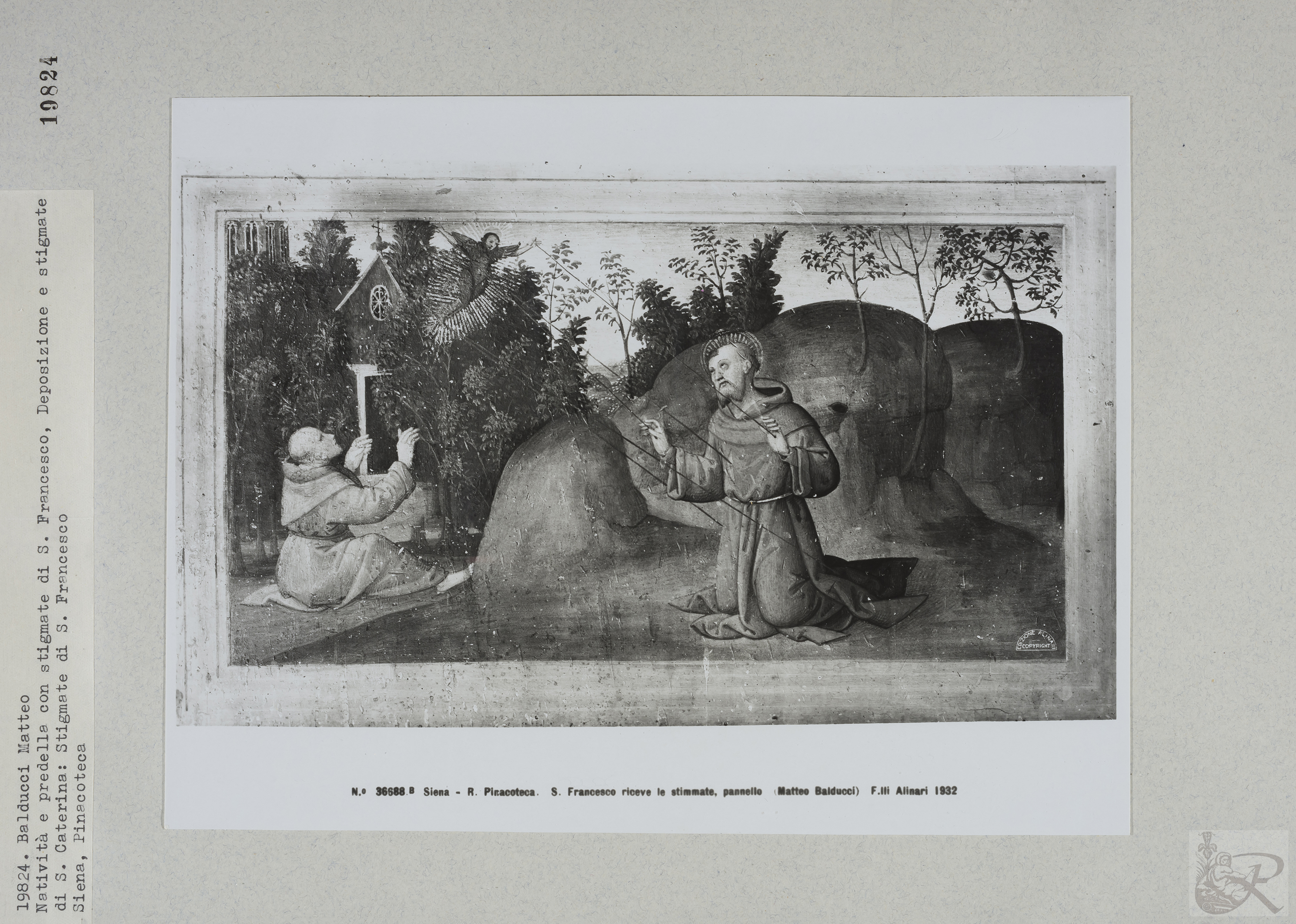 Immagine di anteprima