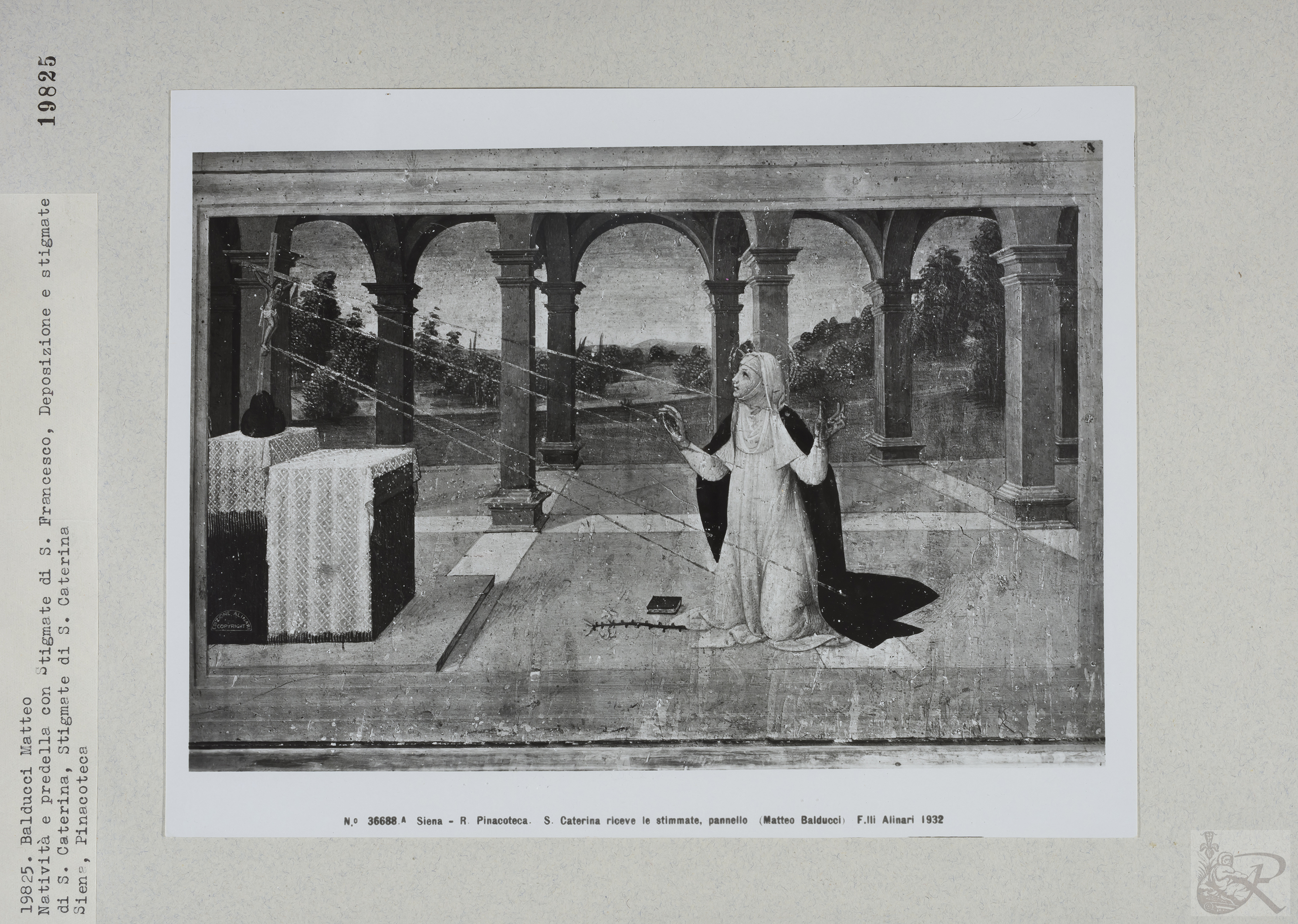 Immagine di anteprima