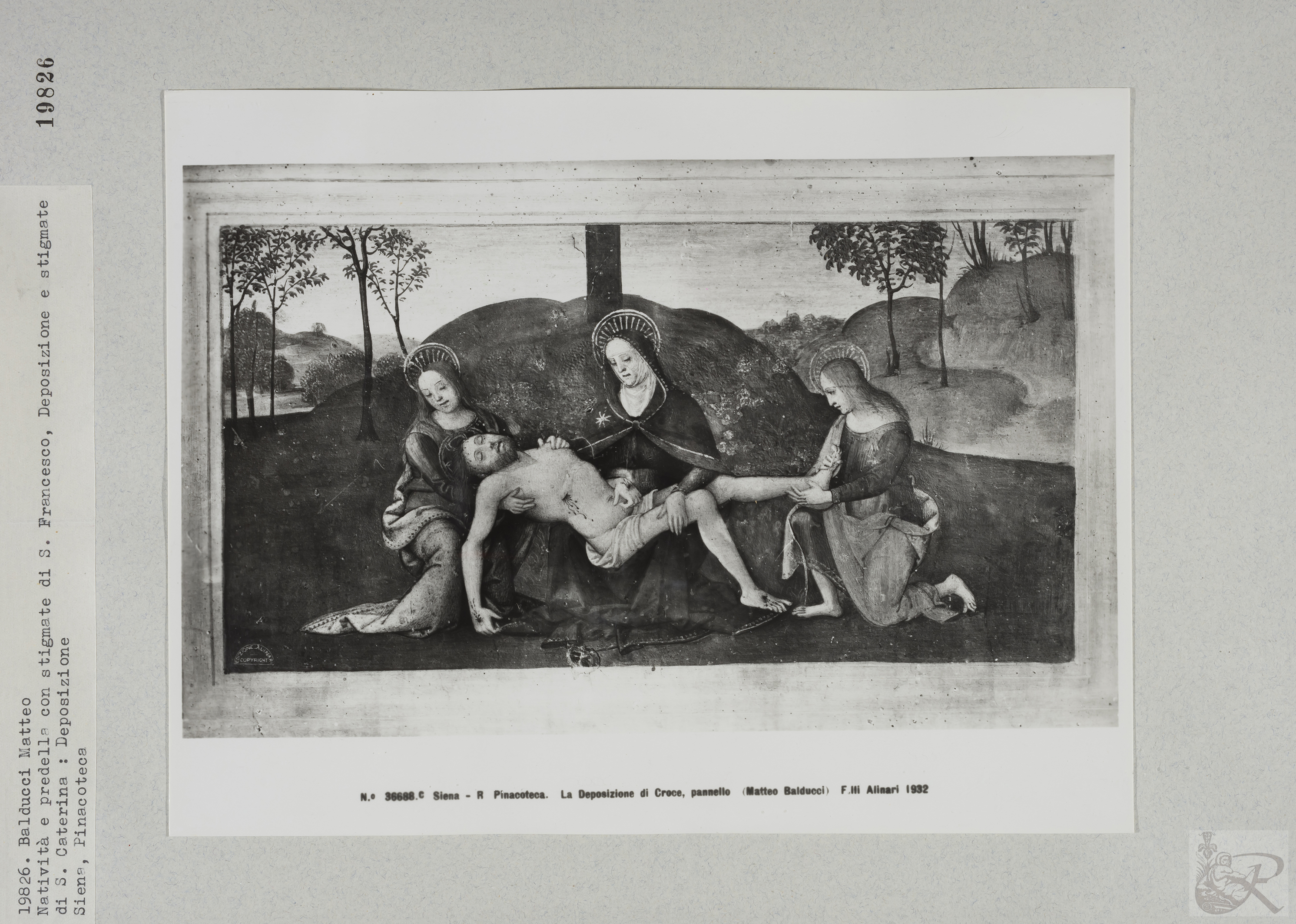 Immagine di anteprima