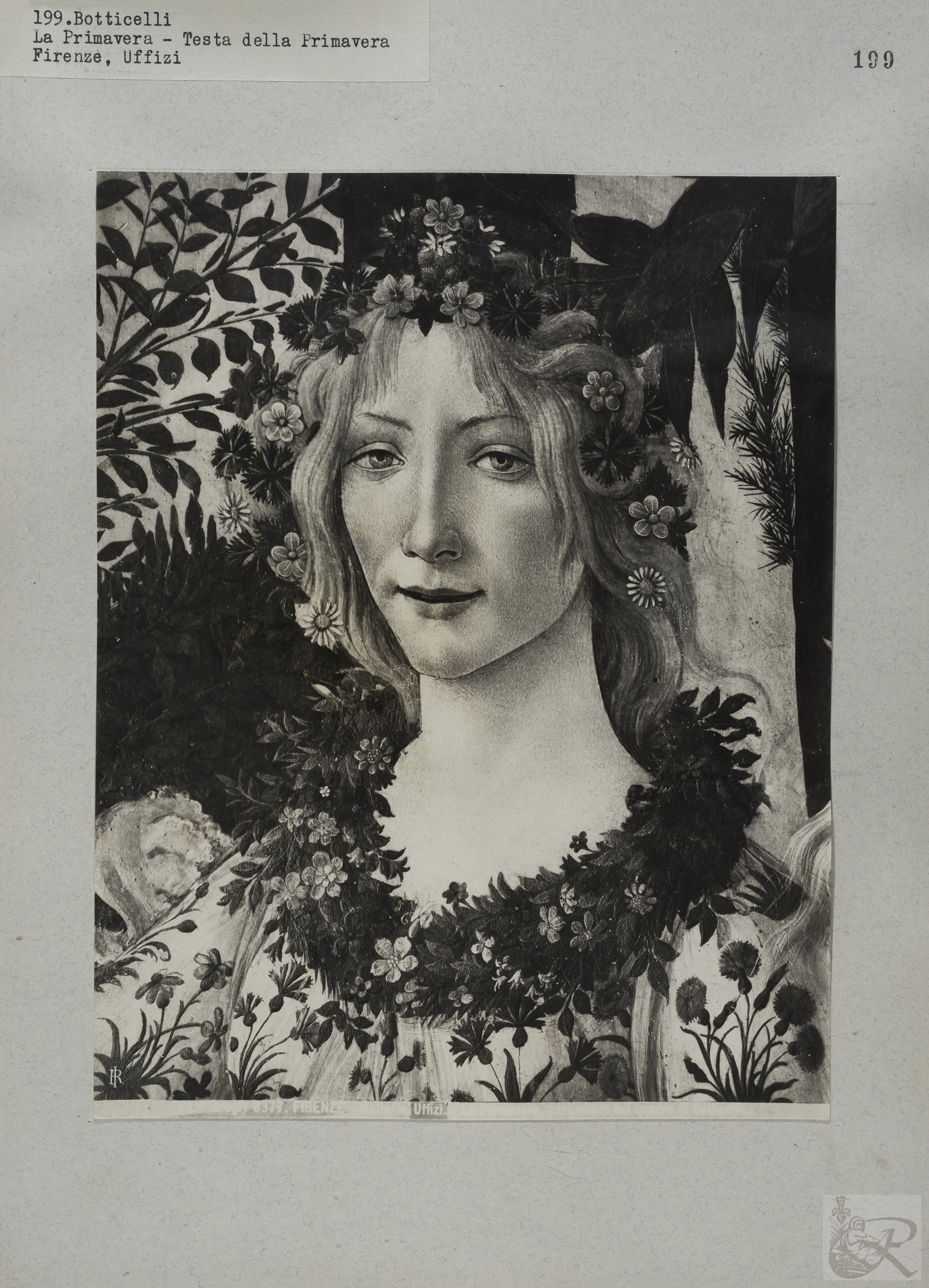 Immagine di anteprima