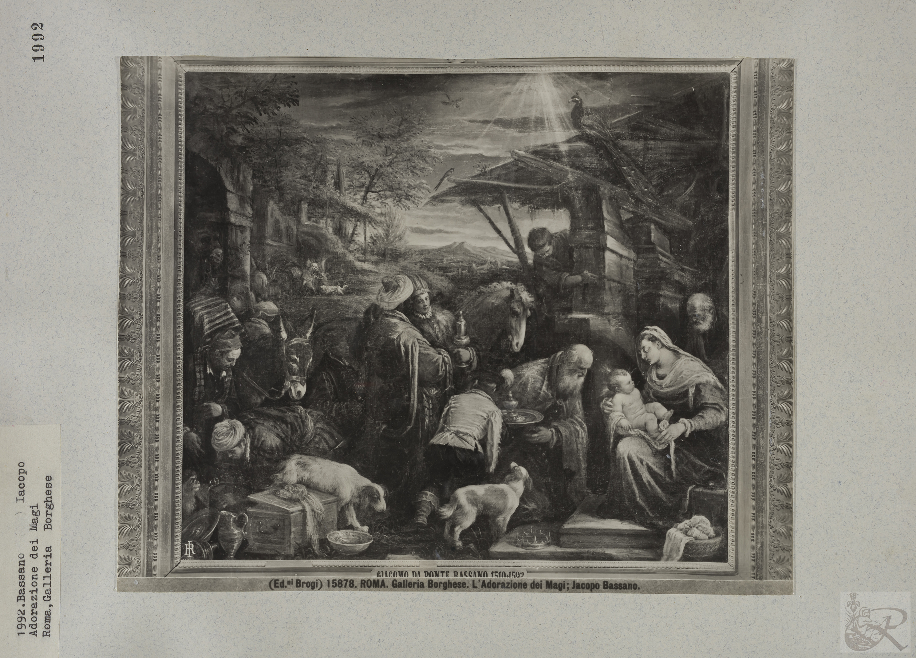 Immagine di anteprima