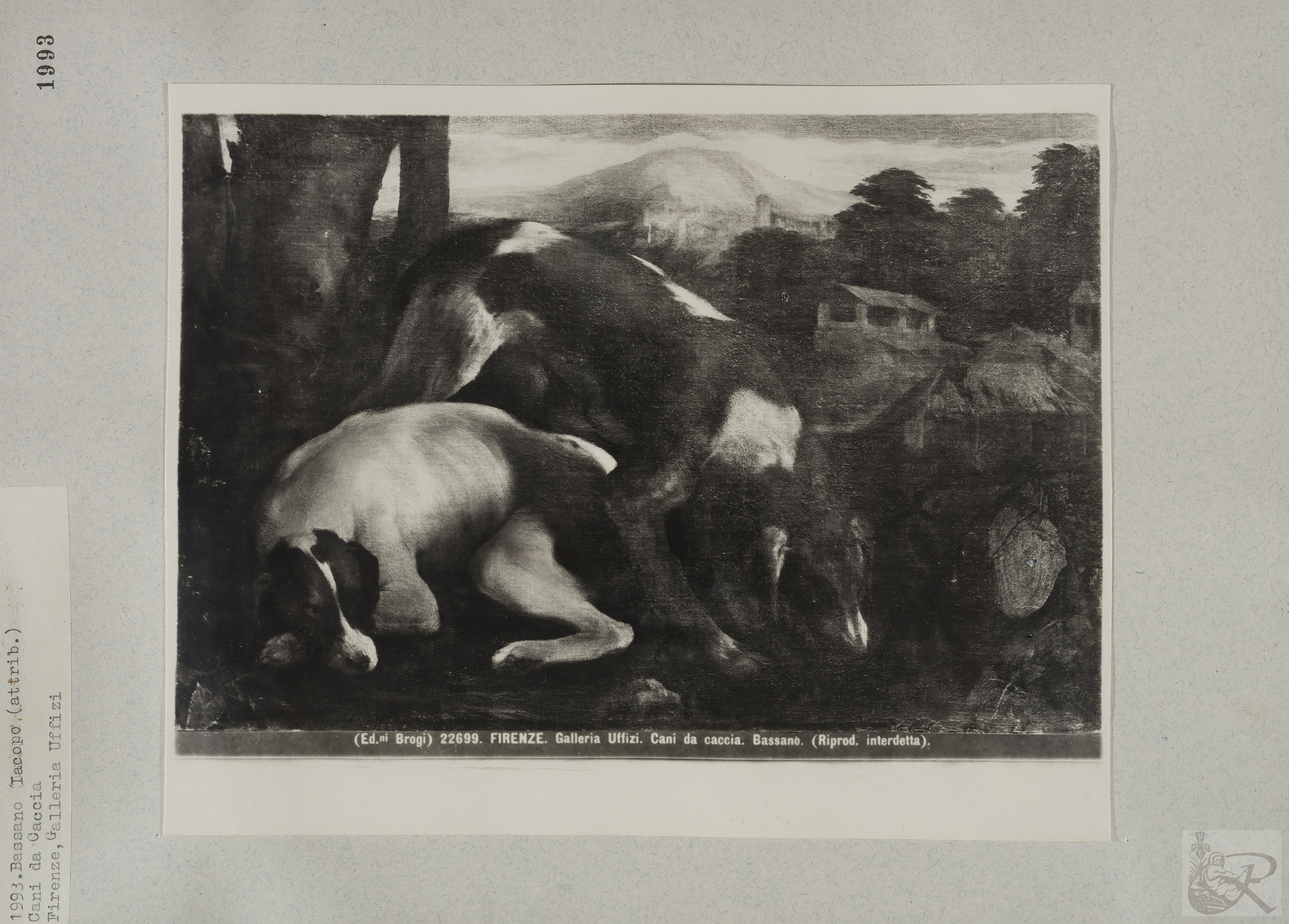 Immagine di anteprima