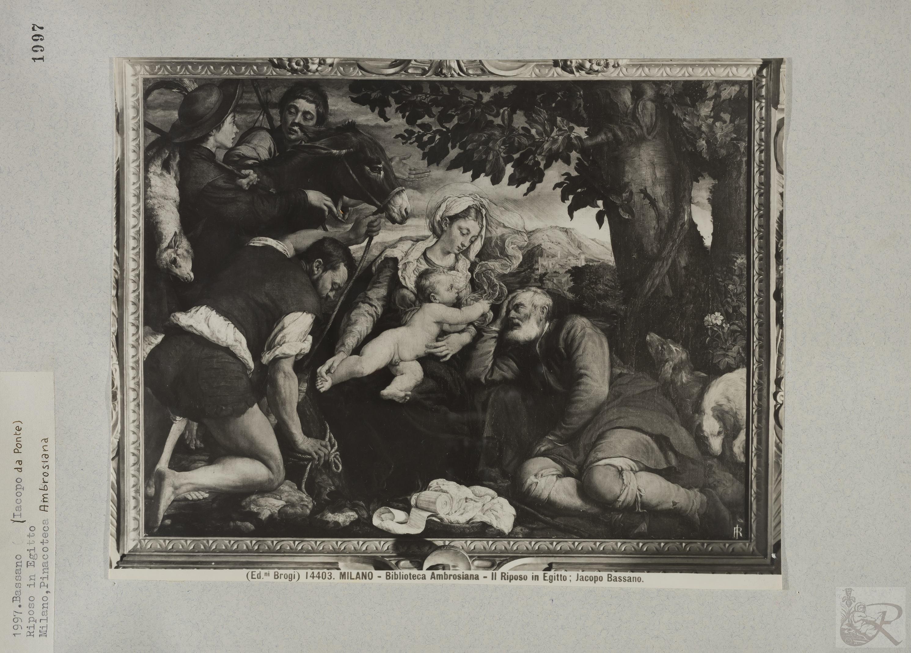 Immagine di anteprima