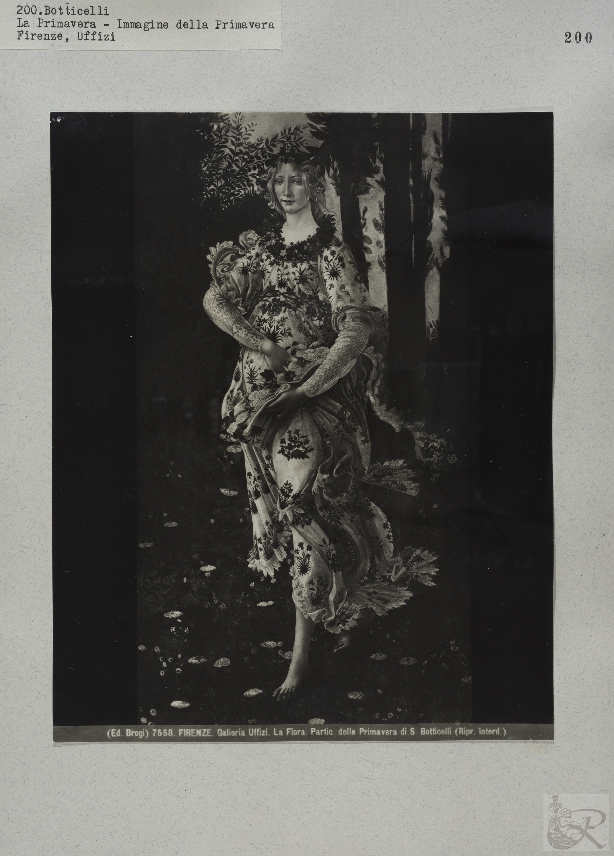 Immagine di anteprima