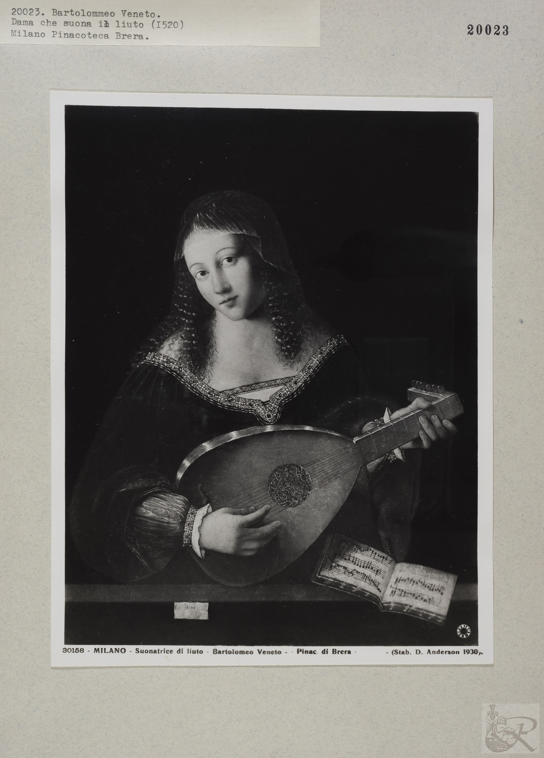 Immagine di anteprima