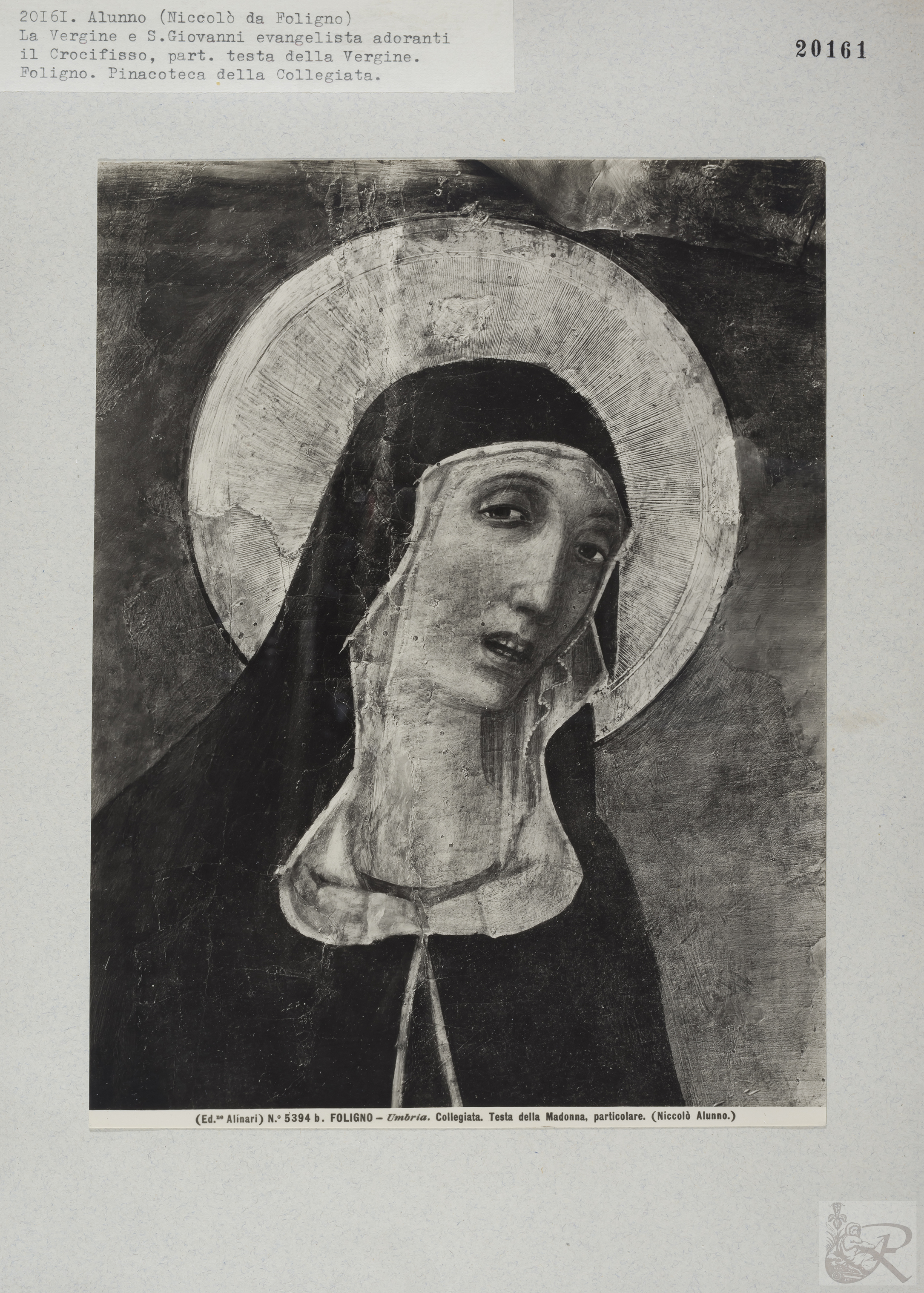 Immagine di anteprima