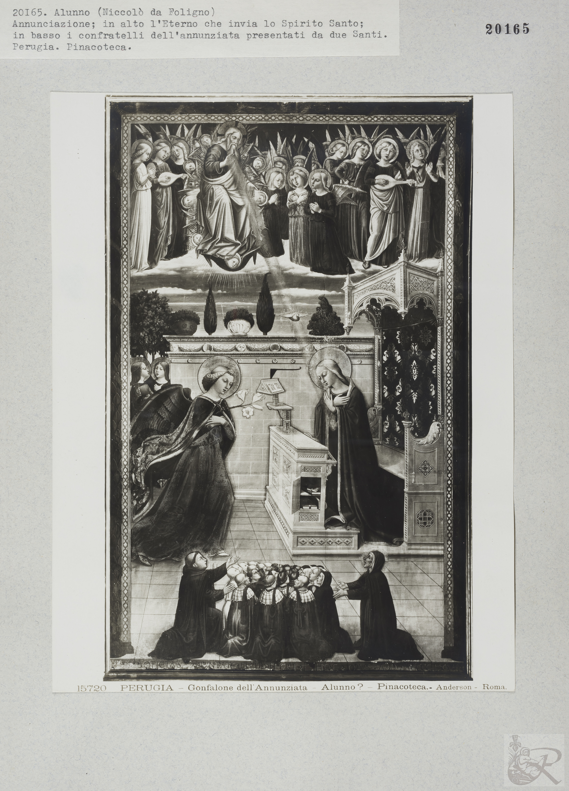 Immagine di anteprima