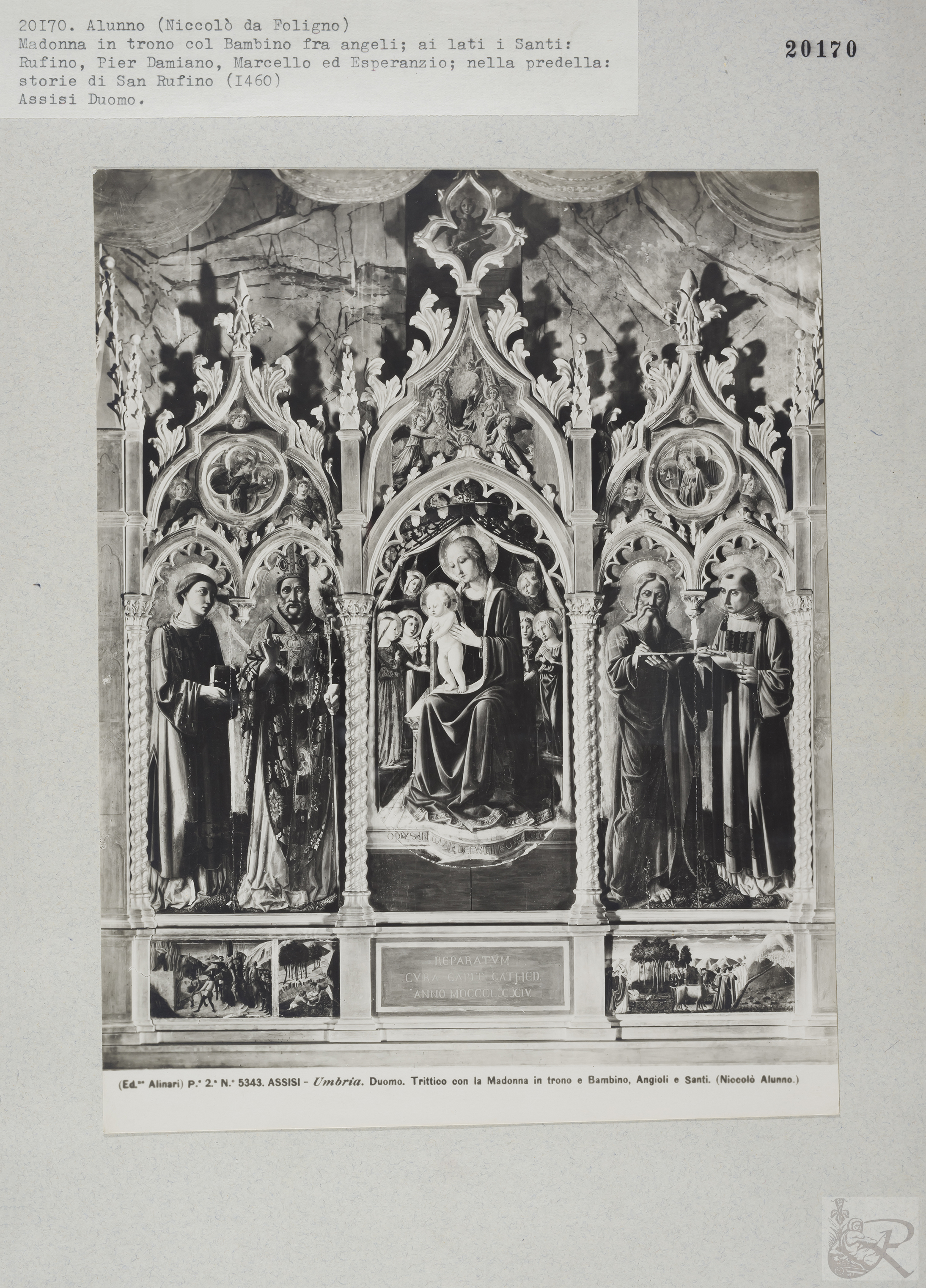 Immagine di anteprima