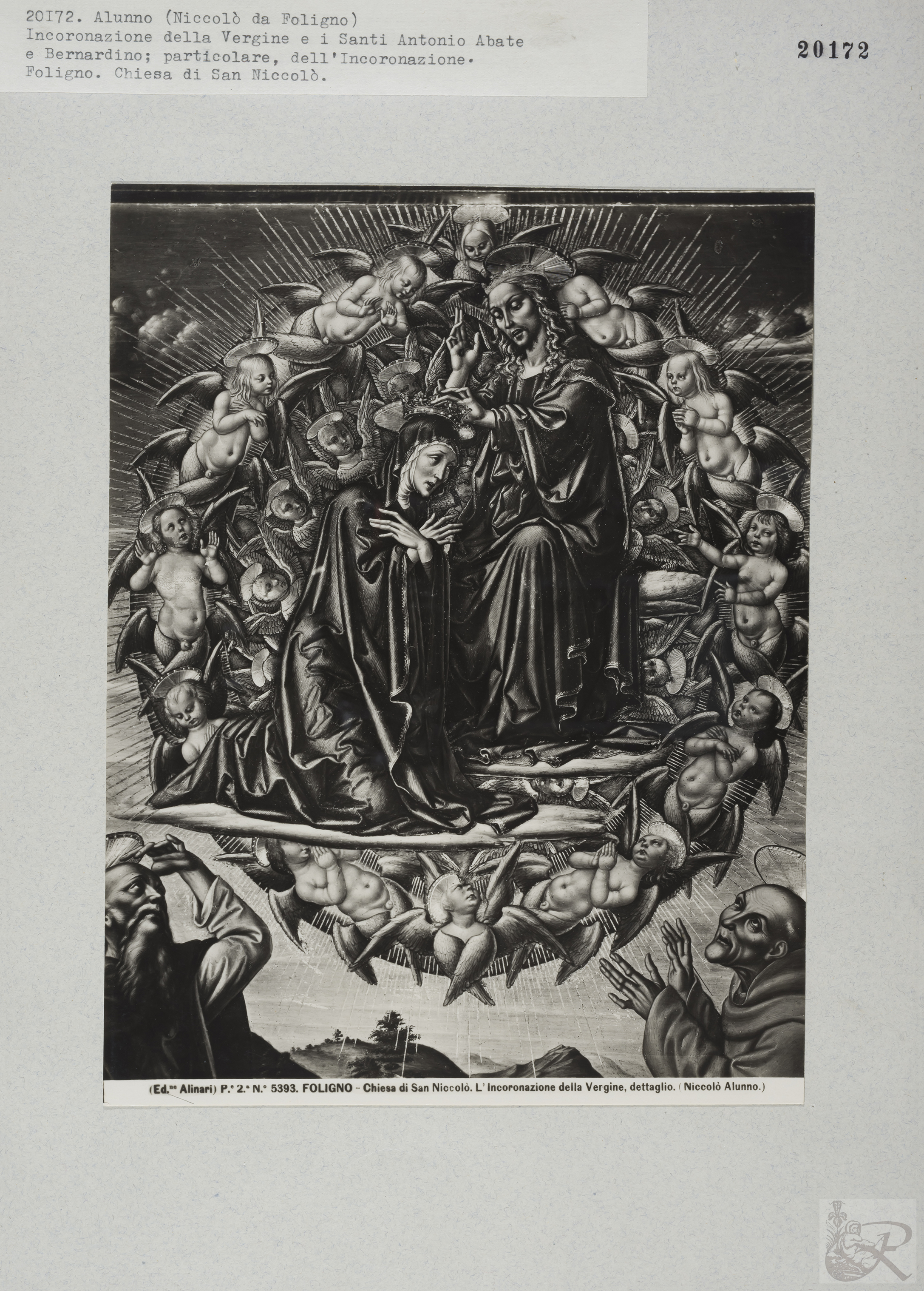 Immagine di anteprima