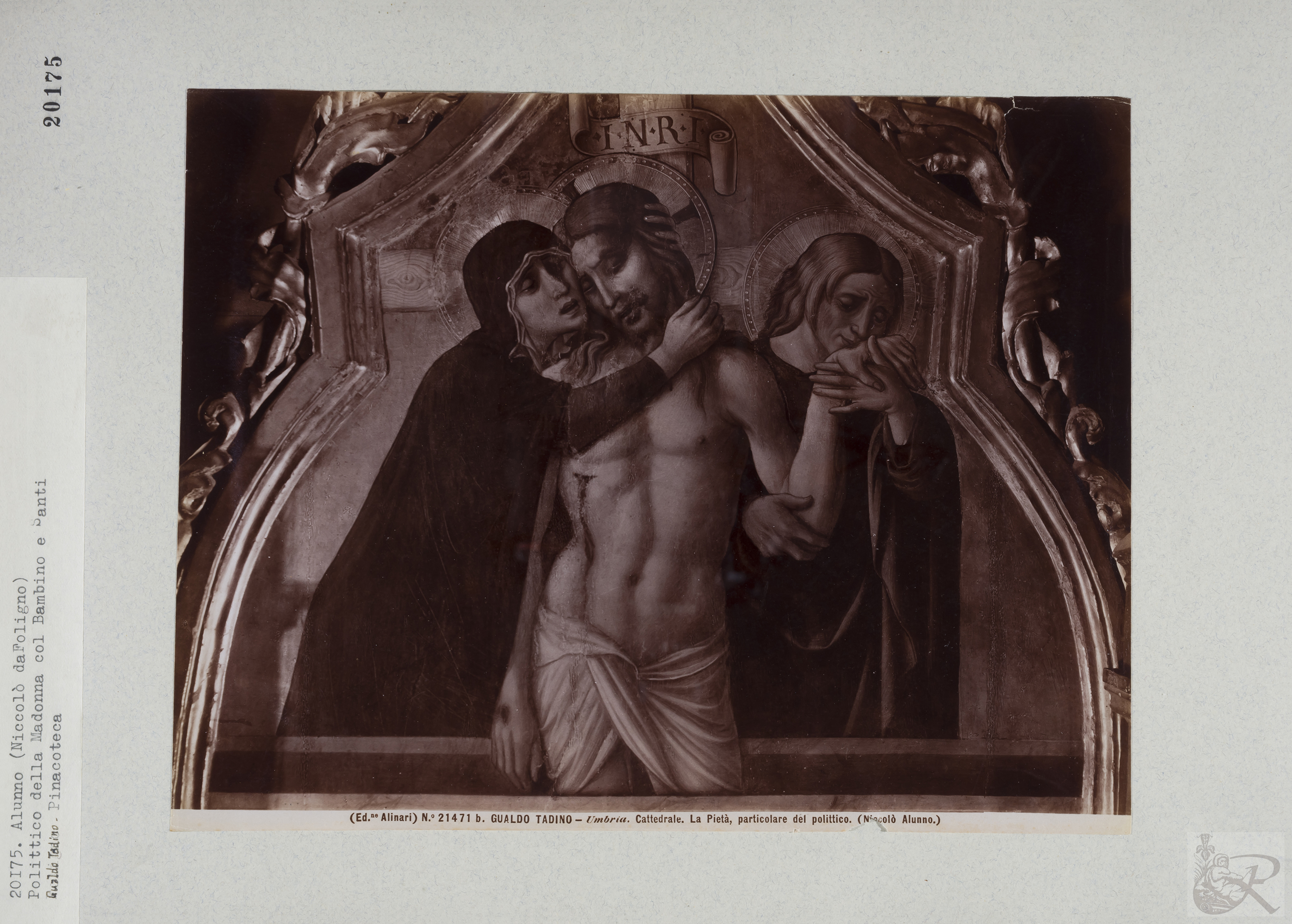 Immagine di anteprima