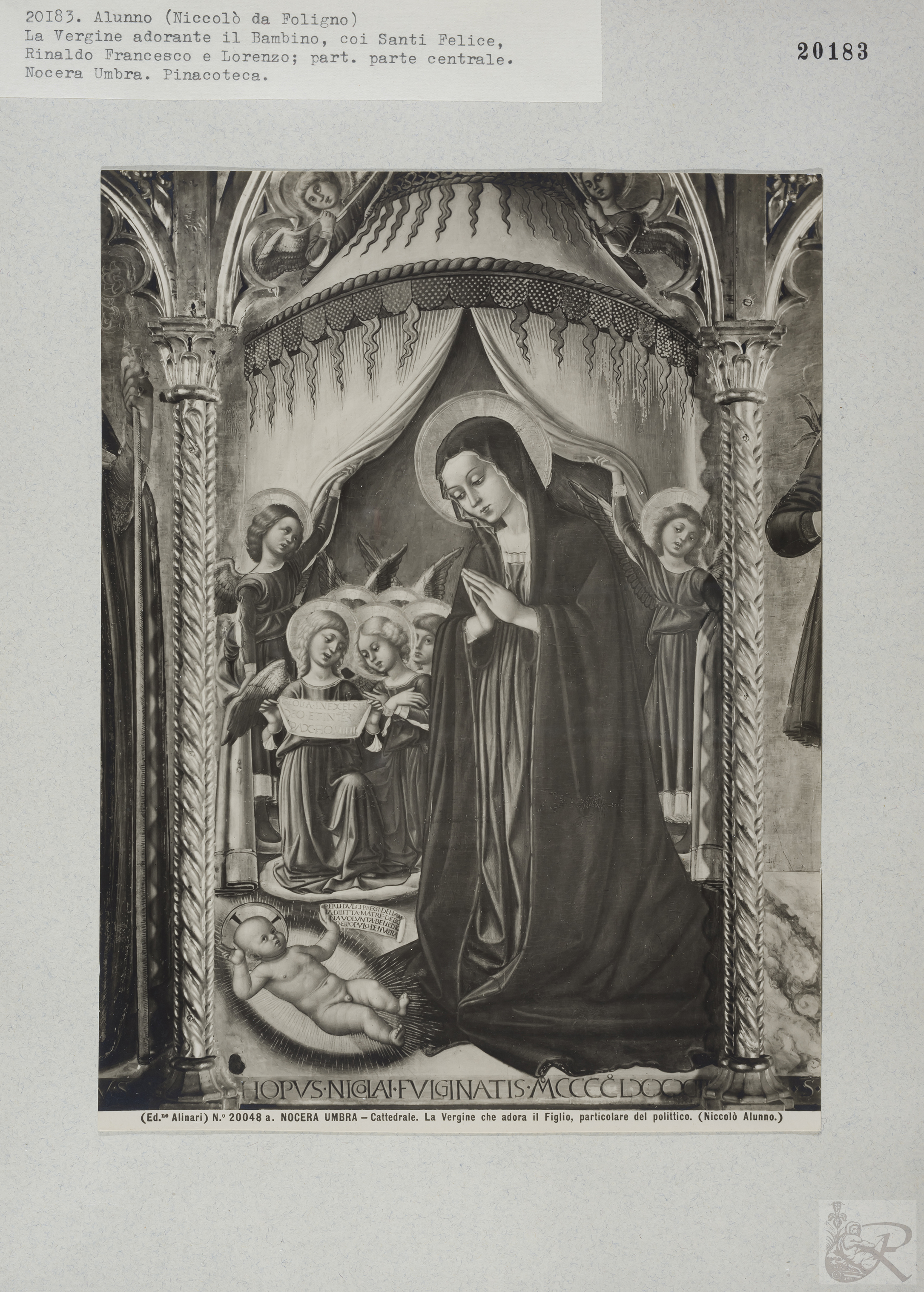 Immagine di anteprima