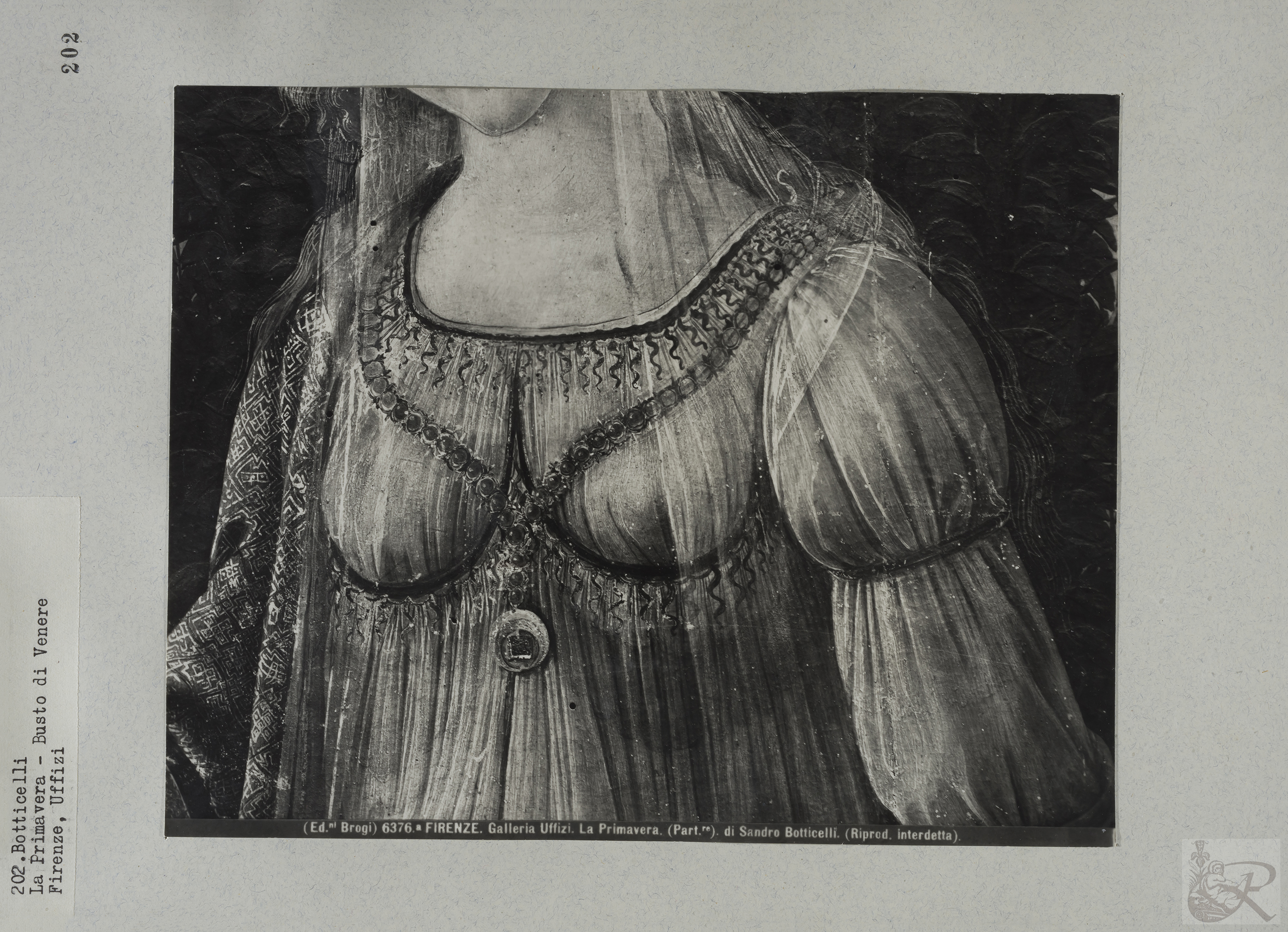 Immagine di anteprima