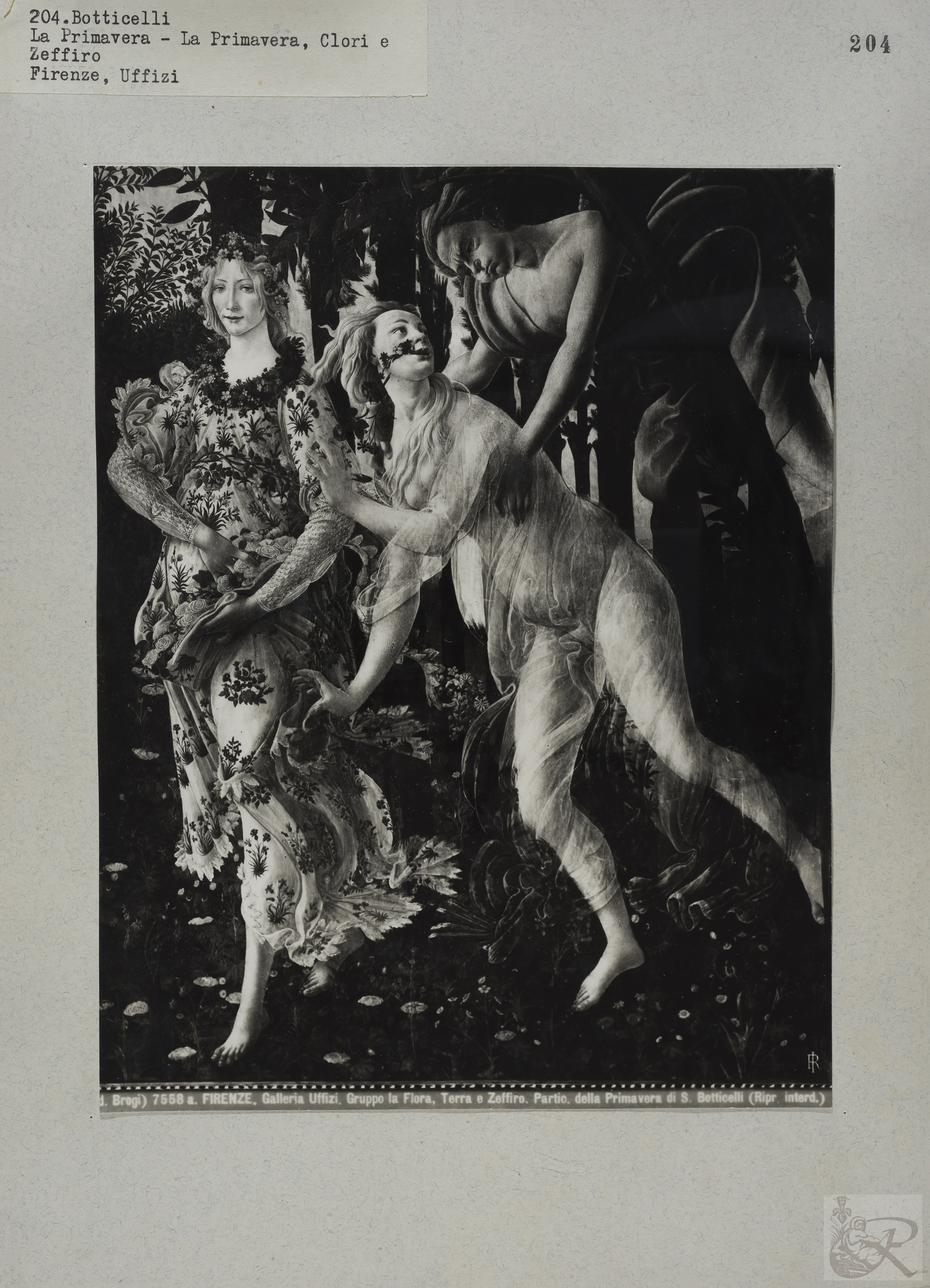 Immagine di anteprima