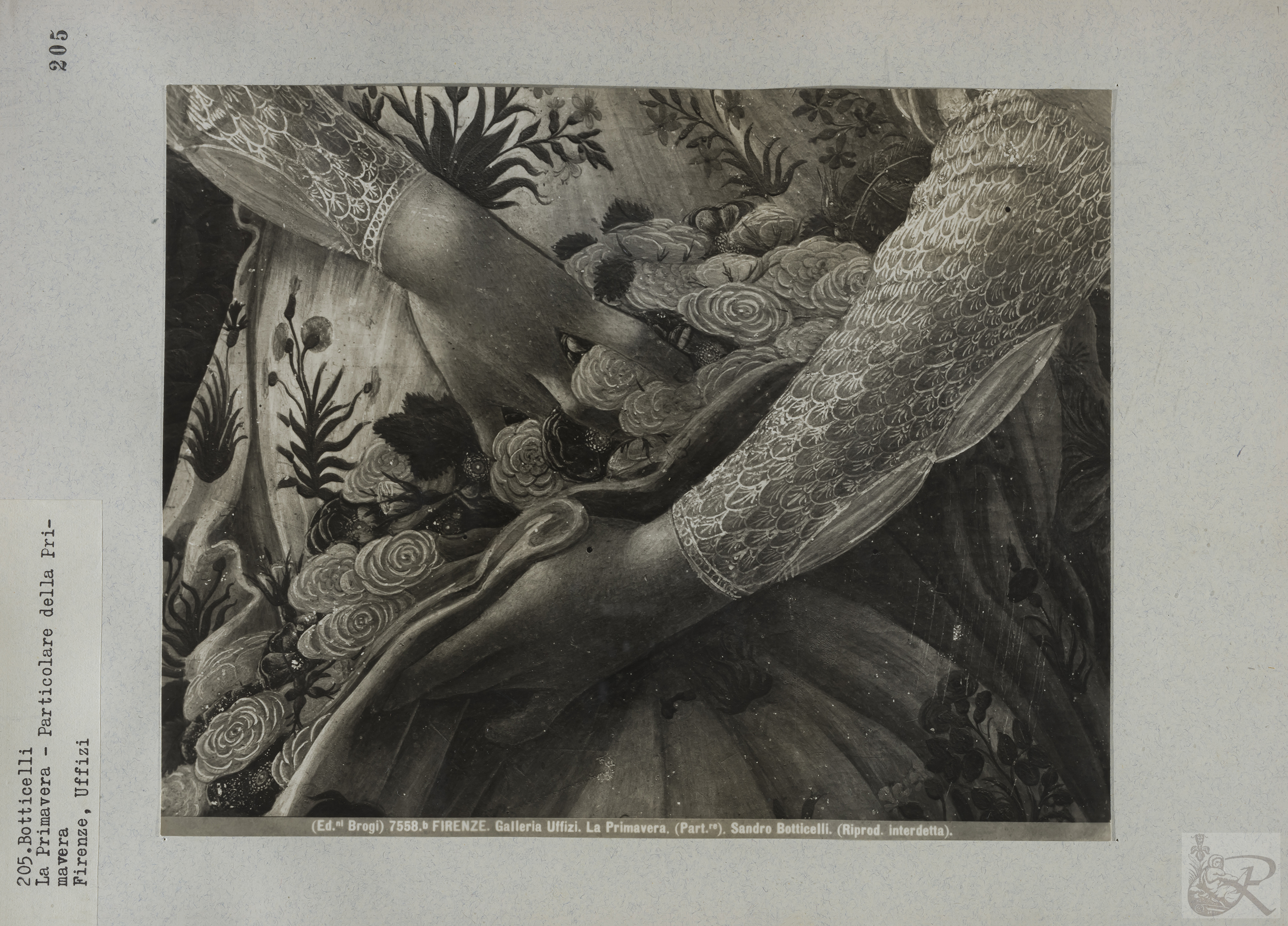 Immagine di anteprima